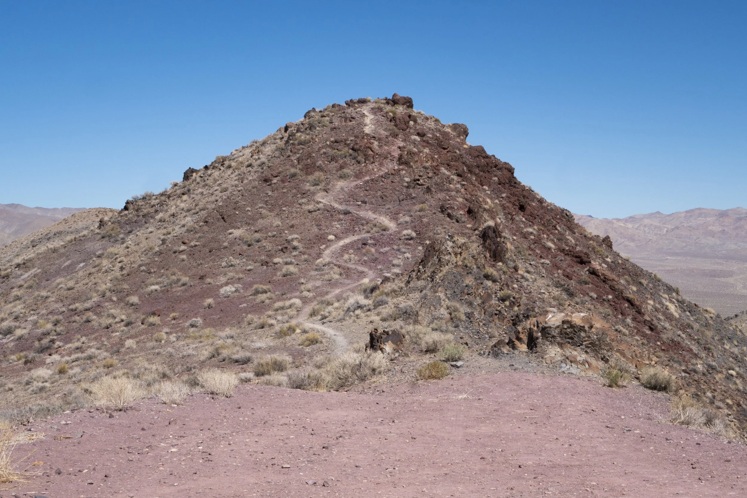 DSC05164_1.jpg
