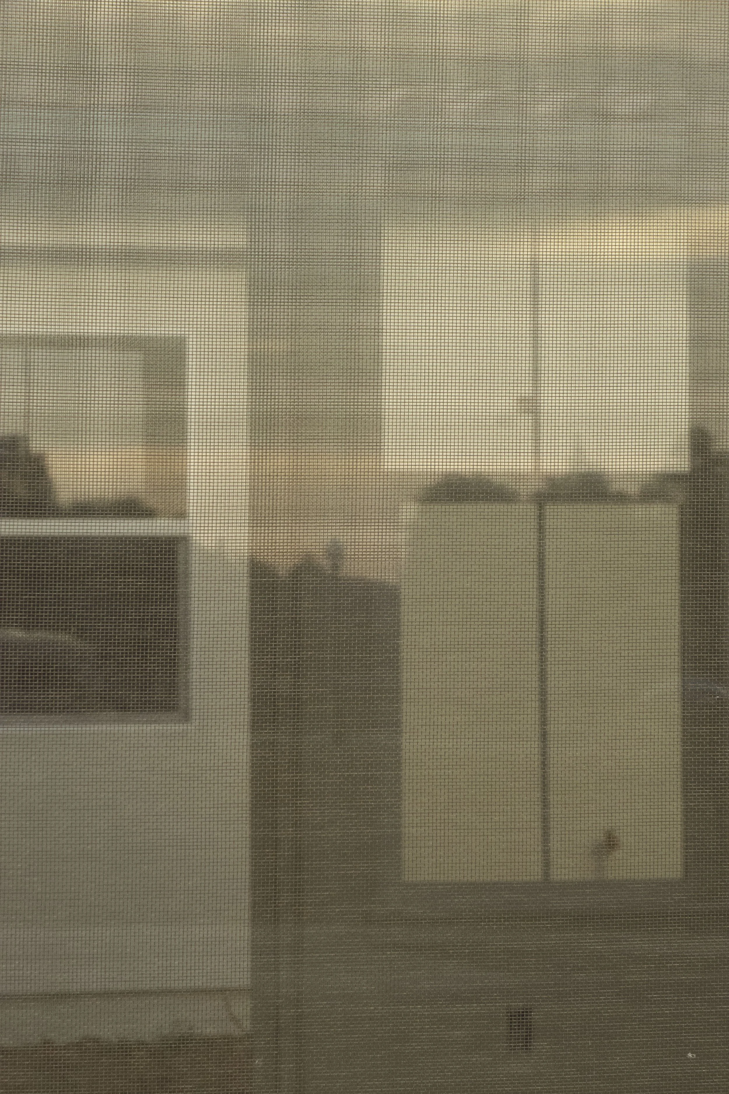 DSC00916.jpg