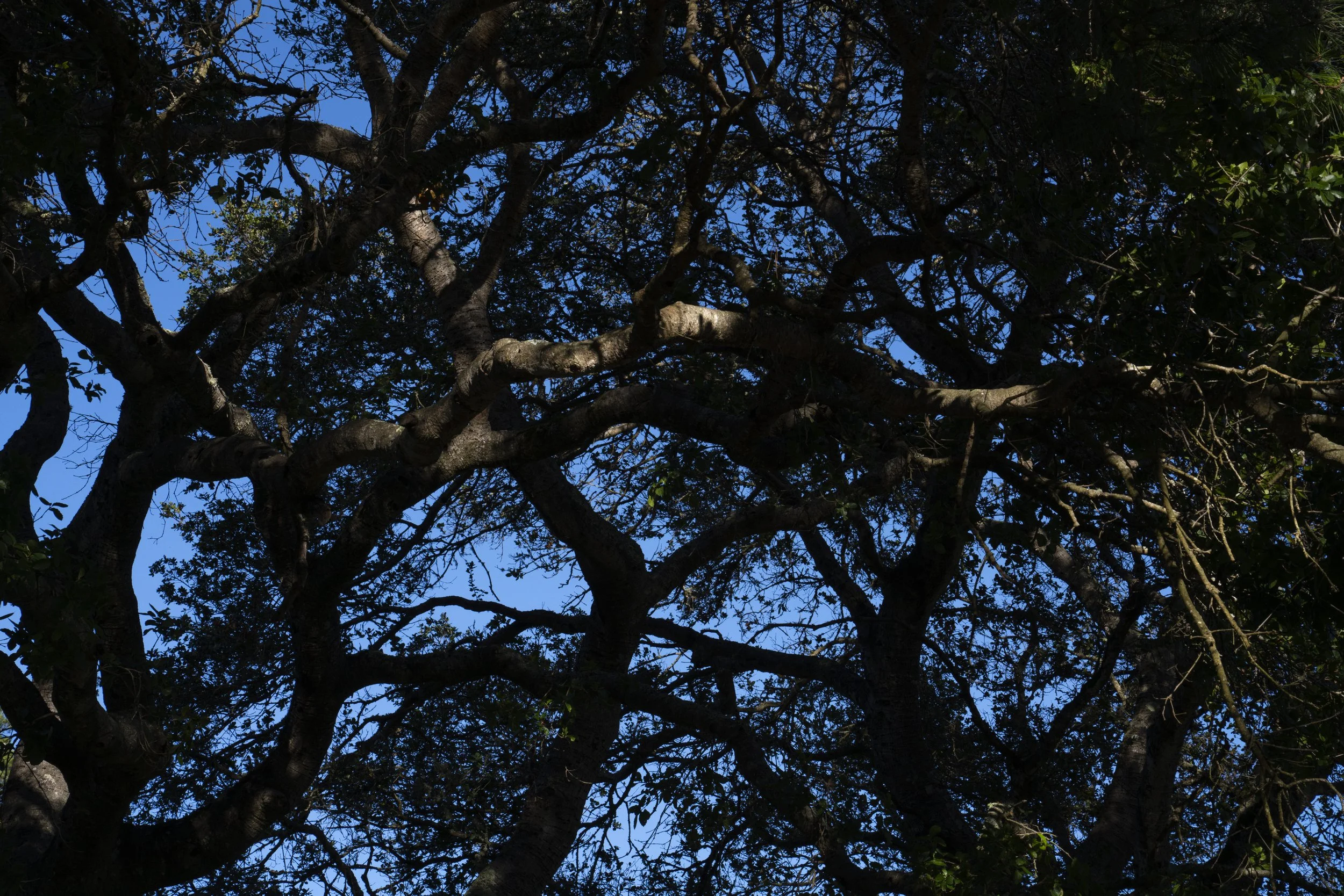 DSC02835.jpg