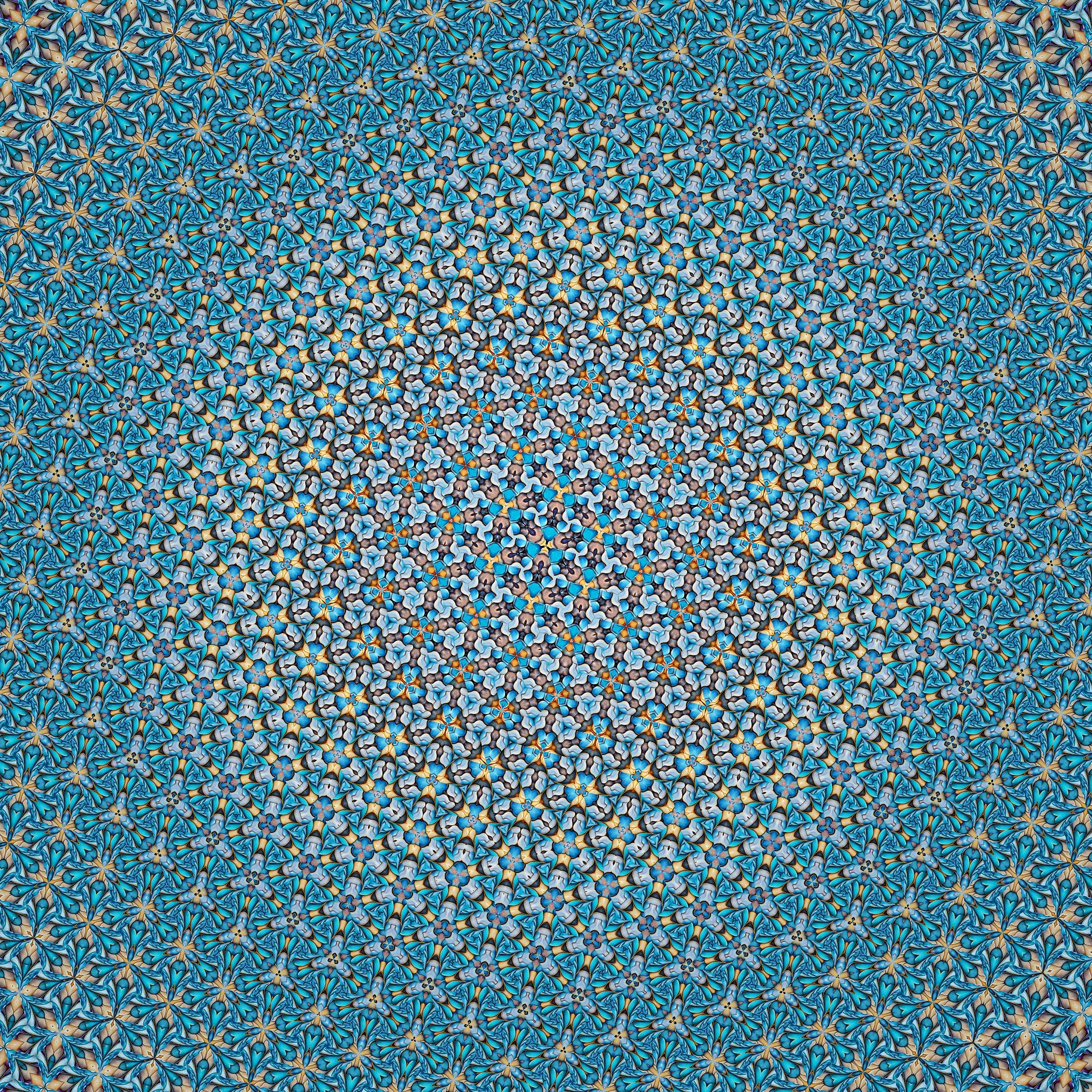 Orbifold 3*3

Fold this pattern along its symmetries until every repeated region lies on top of itself, and what remains is a small surface with one cone point and one mirrored edge. Conway and William Thurston called such objects orbifolds, and the 