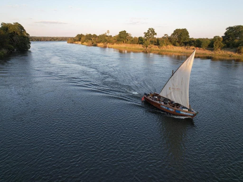 A sailboat with a white sail-moving on a river surrounded by trees and greenery.