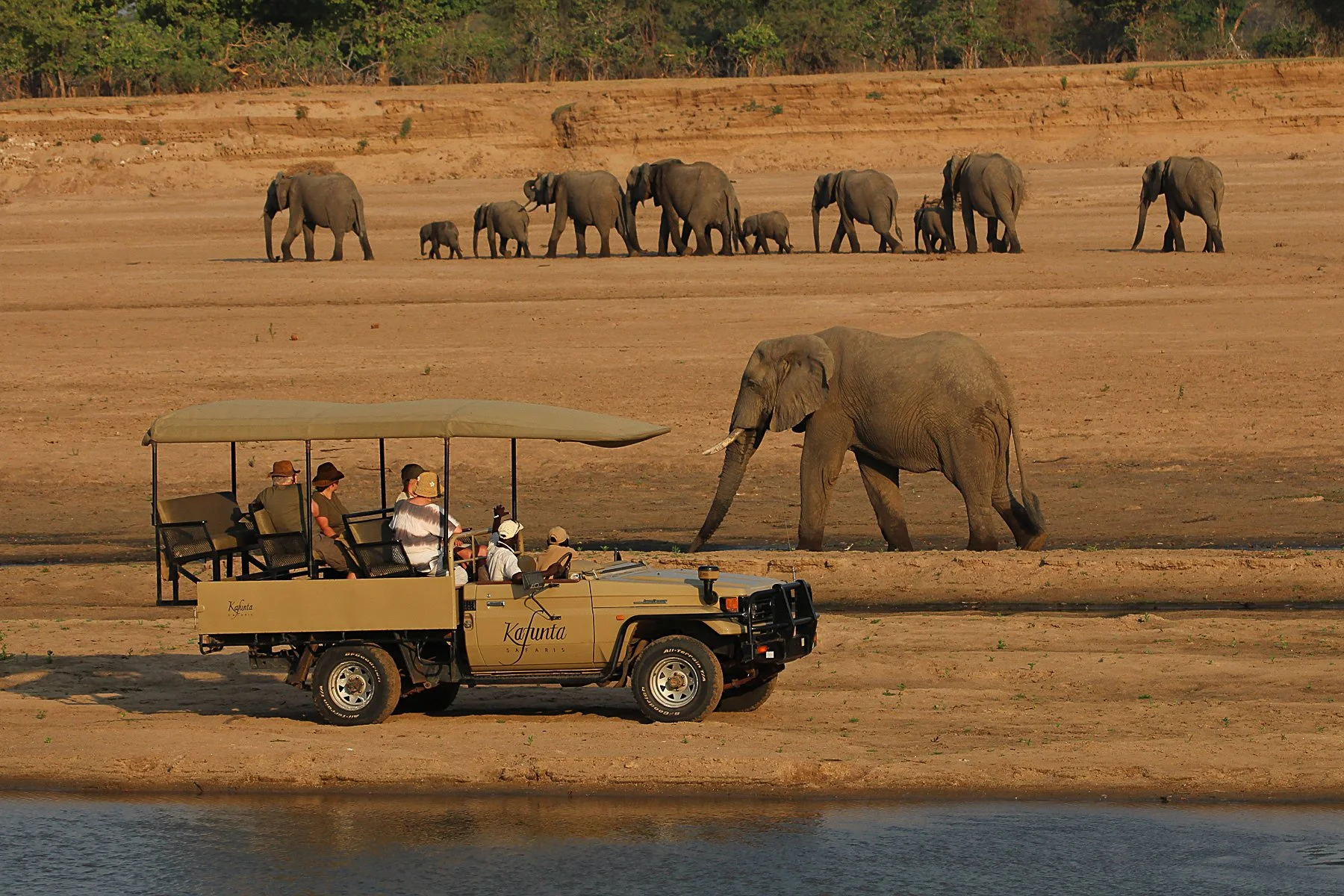 Elephants walking near a river with a safari vehicle and tourists watching from the shore