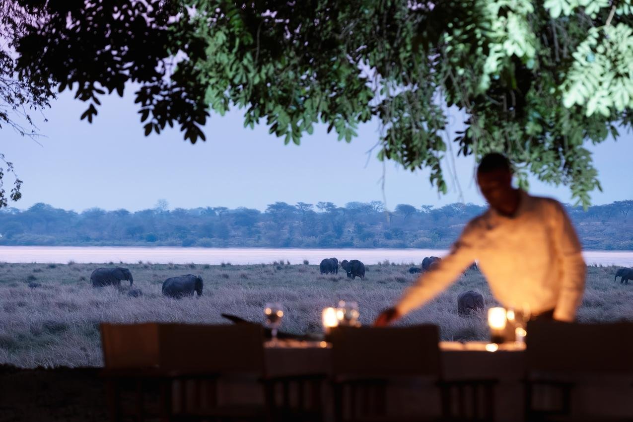 A person setting a table outdoors at dusk near a body of water, with elephants and trees in the background.
