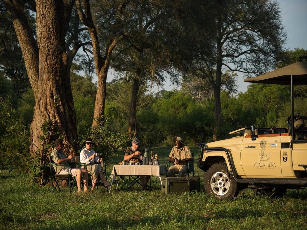 Four people sitting at a table outdoors near a large tree, with a safari vehicle parked beside them, in a lush, green environment.