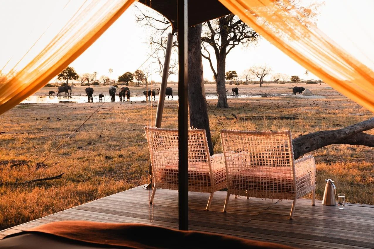 A view of a safari landscape with elephants near a waterhole, seen from inside a tent with two woven chairs on a wooden deck and a water jug and glass.