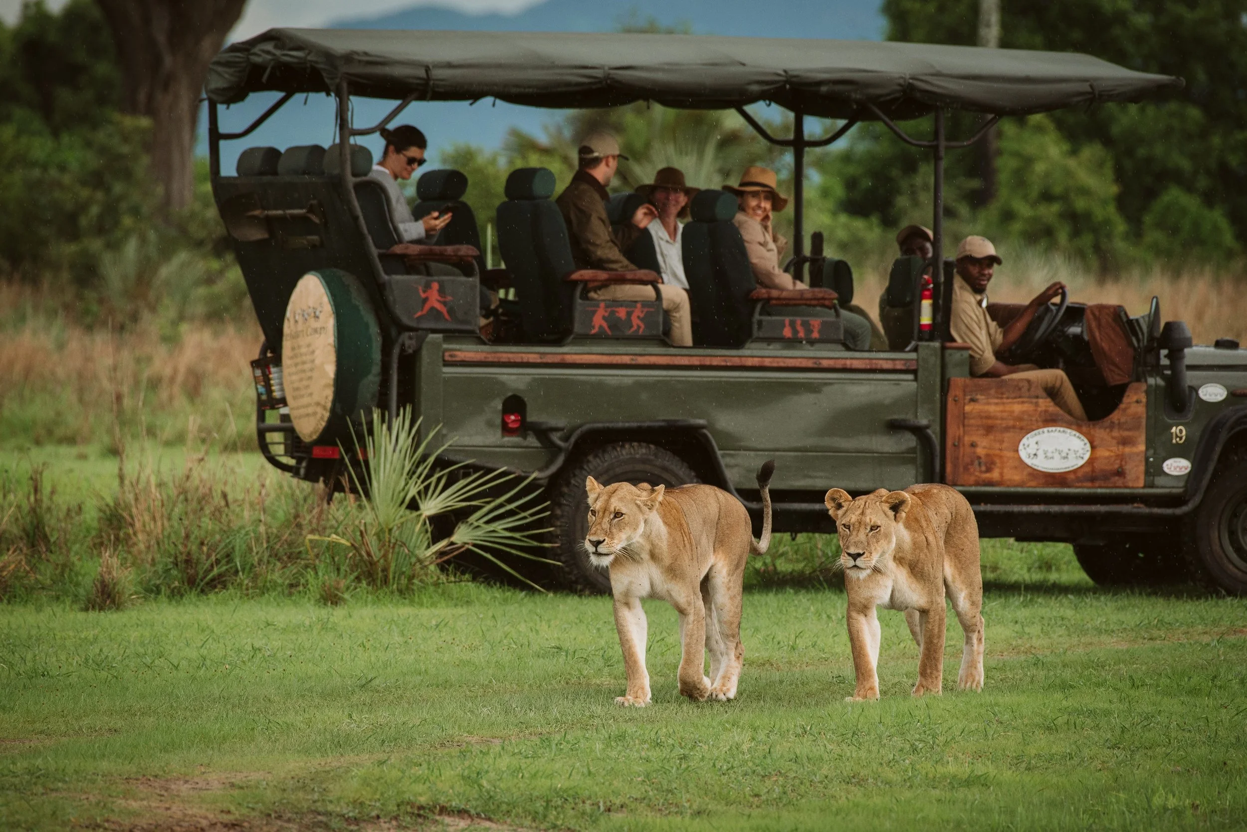 Game Drive Lions.jpg