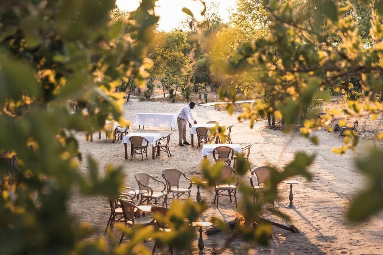 A person setting up tables with white tablecloths in an outdoor dining area surrounded by trees and illuminated by warm sunlight.