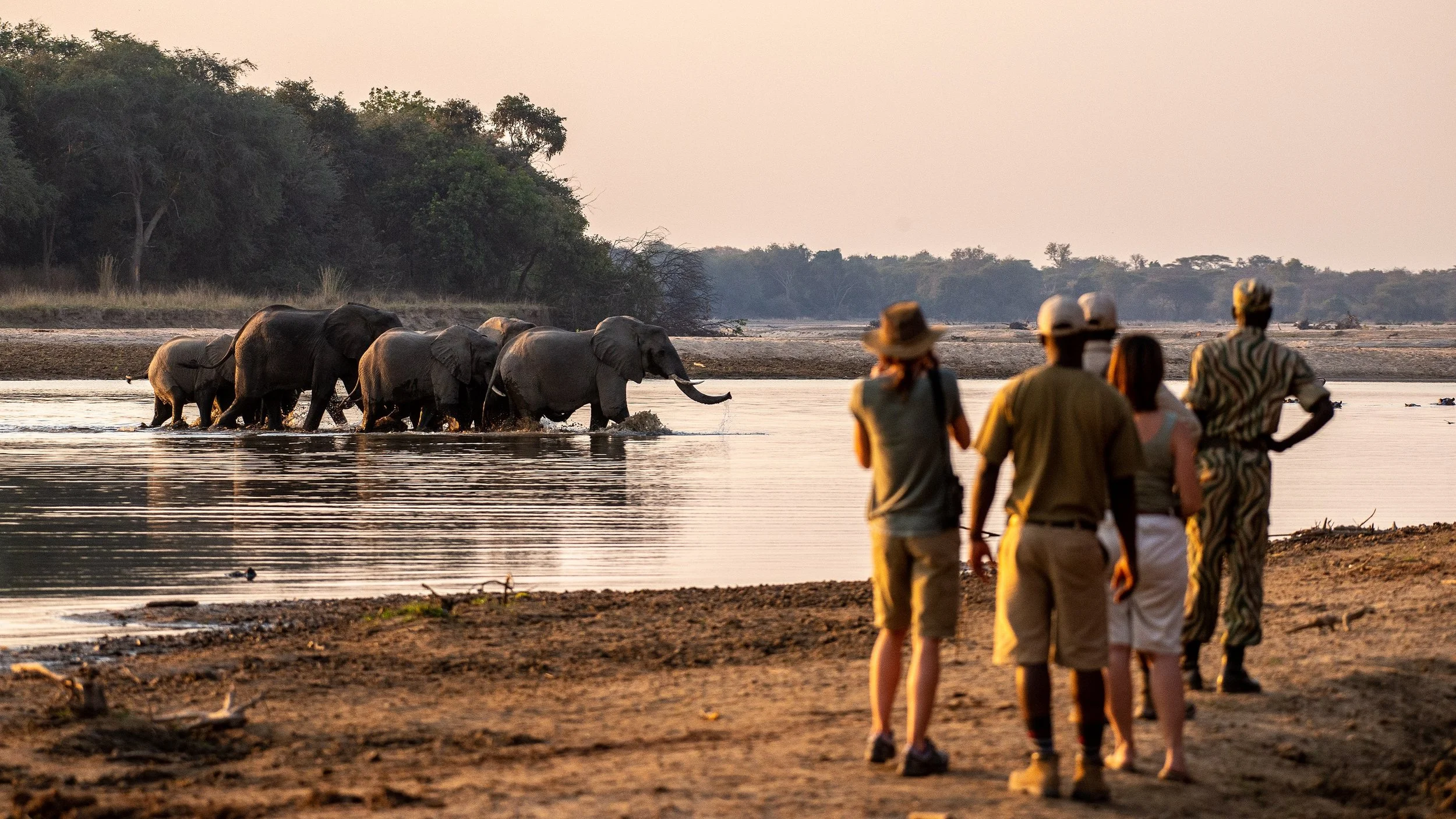 Walking safari in North Luangwa
