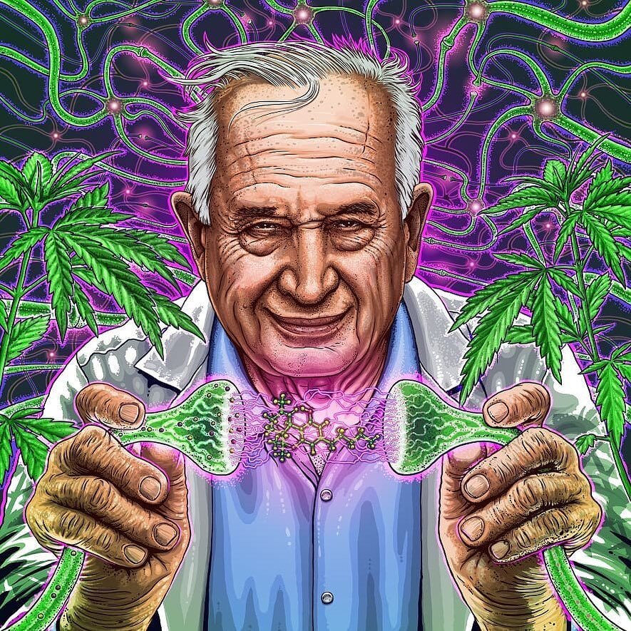 -Cannabis History- 

Raphael Mechoulam (5/11/1930 &ndash; 3/9/2023)

Raphael Mechoulam's major scientific interest was the chemistry and pharmacology of cannabinoids. He and his research group succeeded in the total synthesis of the major plant canna