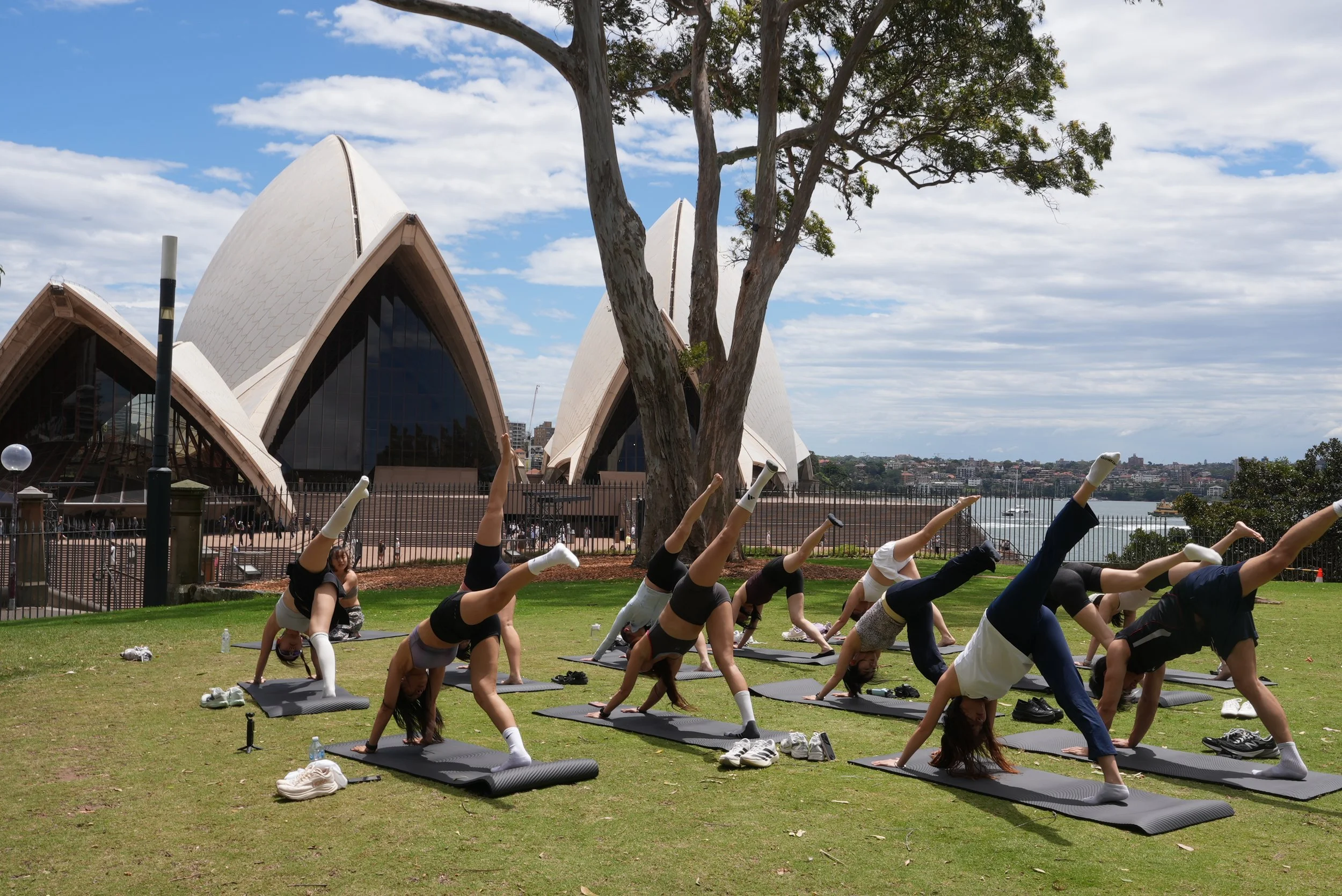 PB Social Run &amp; Harbour View Yoga Event Recap