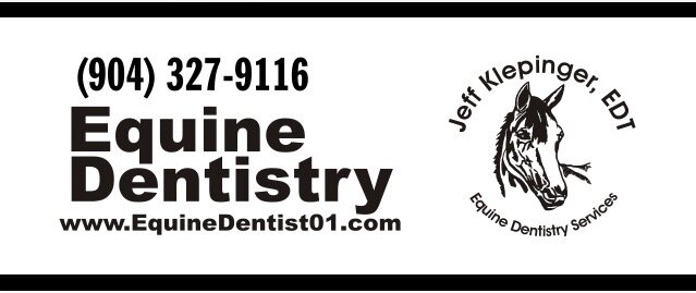 Equine Dentistry