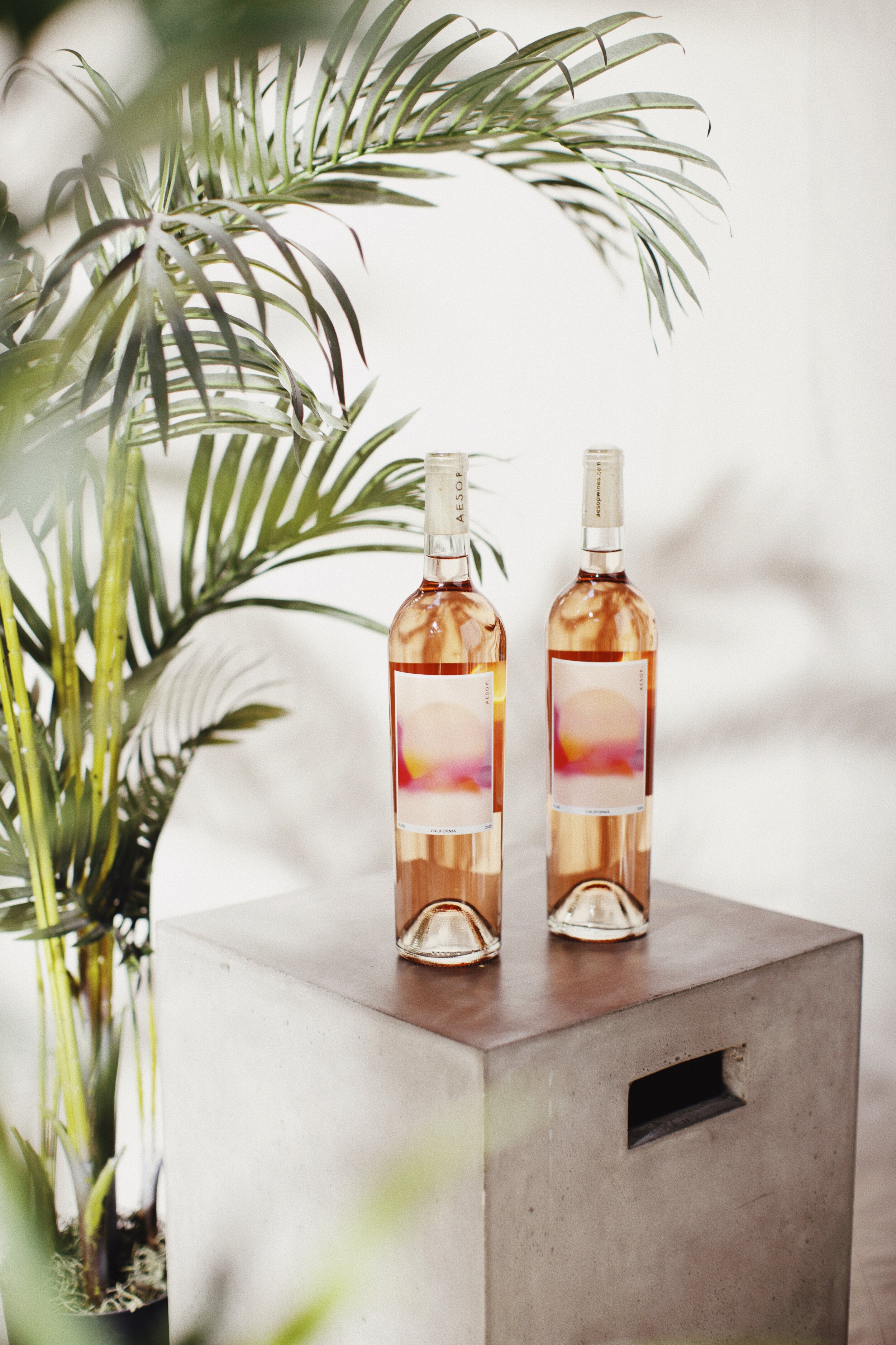 aesop-wines-NWN4CDX5Ubg-unsplash.jpeg