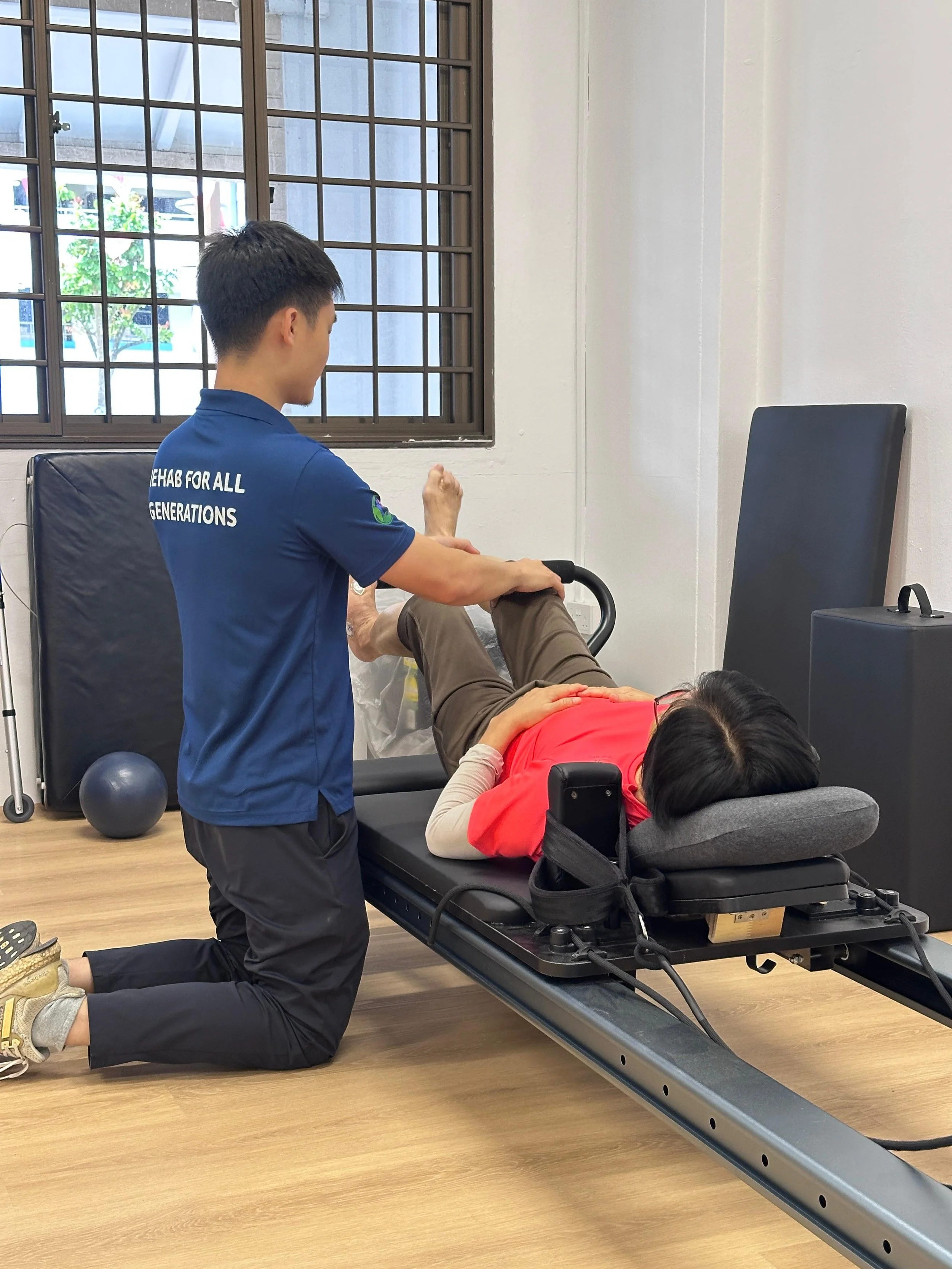 Front and back views of a human skeleton with muscles highlighted, showing muscular anatomy.