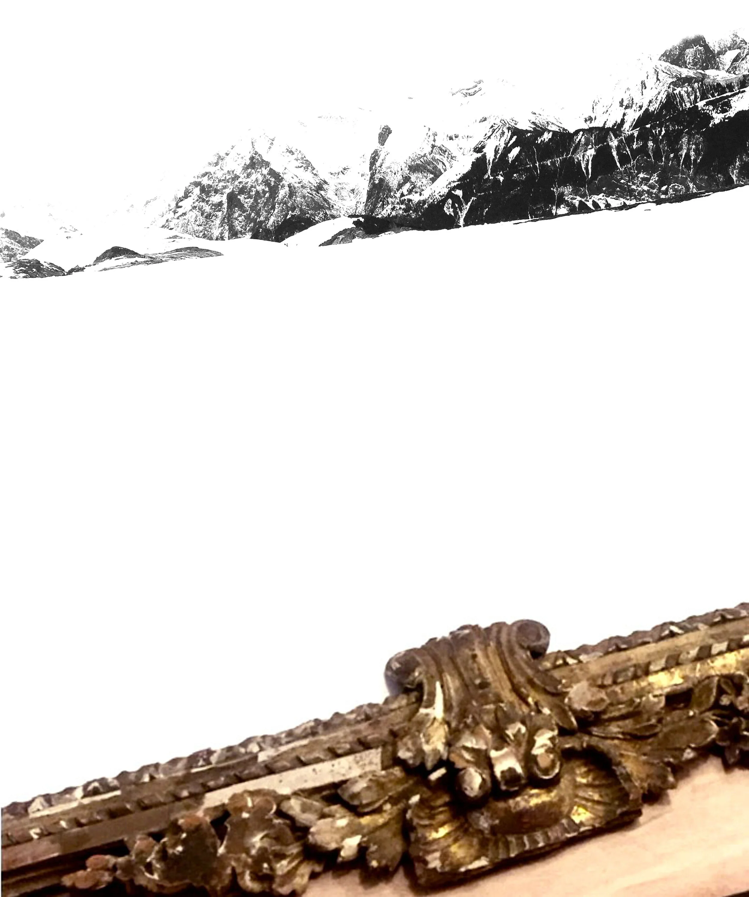 trauma pitch image.jpg