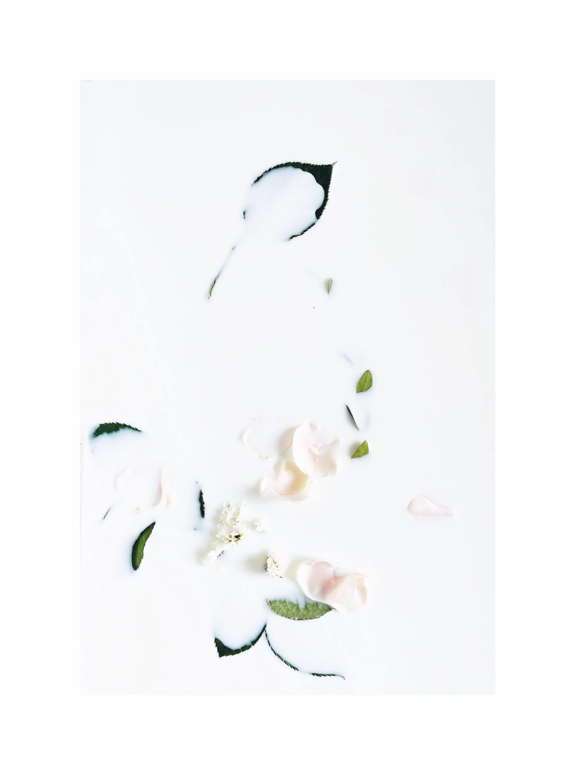 FA482AC0-3975-4ED6-AB25-6ADCEC802502