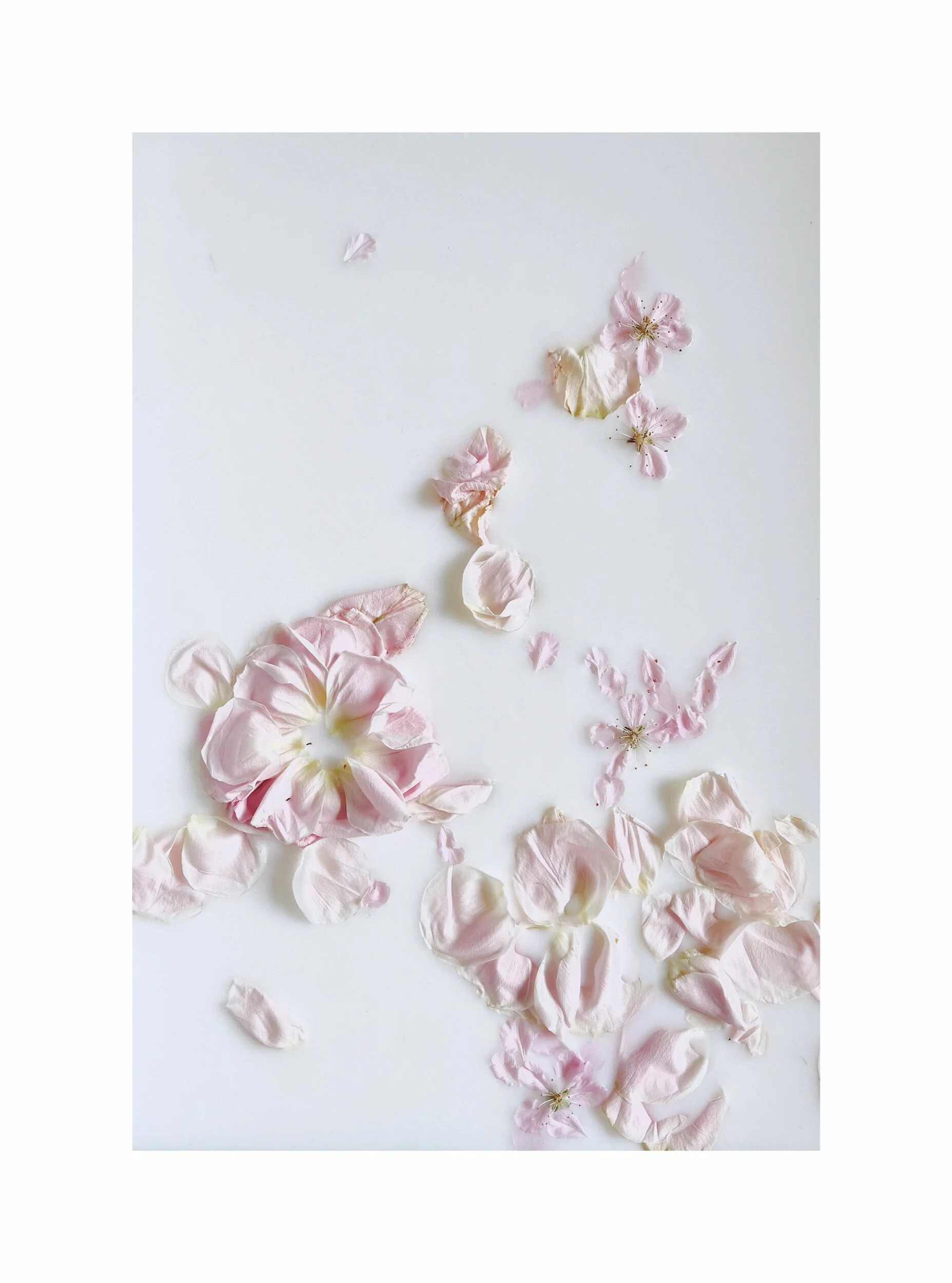 A94DF82A-1812-4E29-9E9D-8475C0D78566