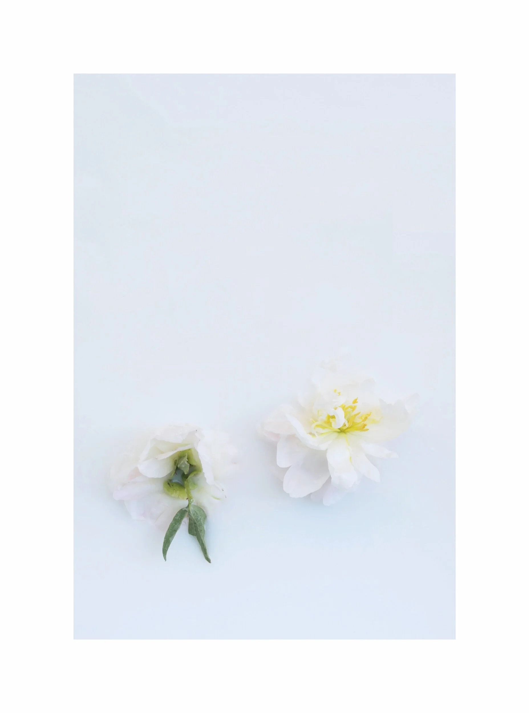 CC53D21E-3207-430E-9216-4A97BDFFAA43