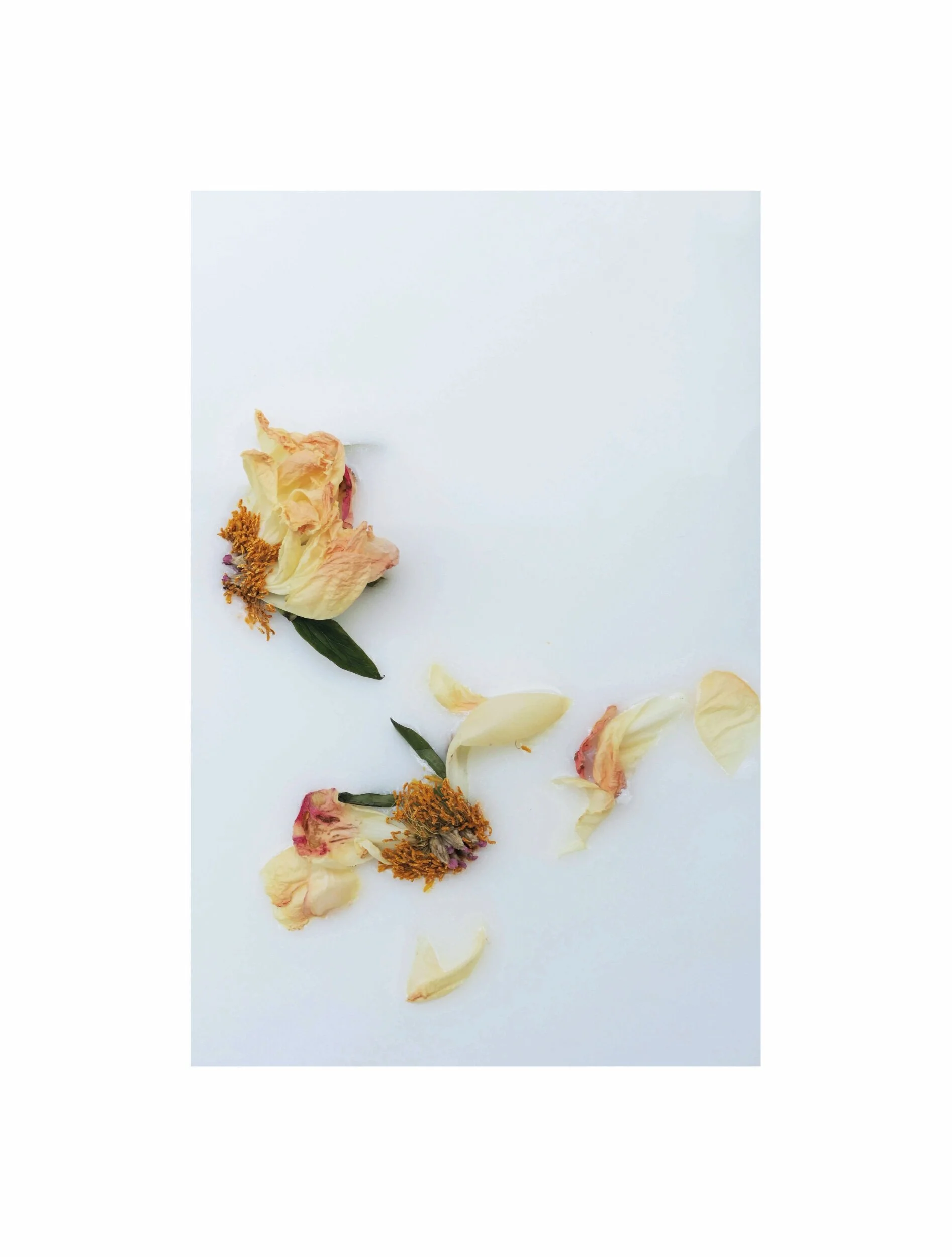 20745905-3AF5-4BFD-A760-A030FDDEB833