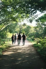 Mindful Walks