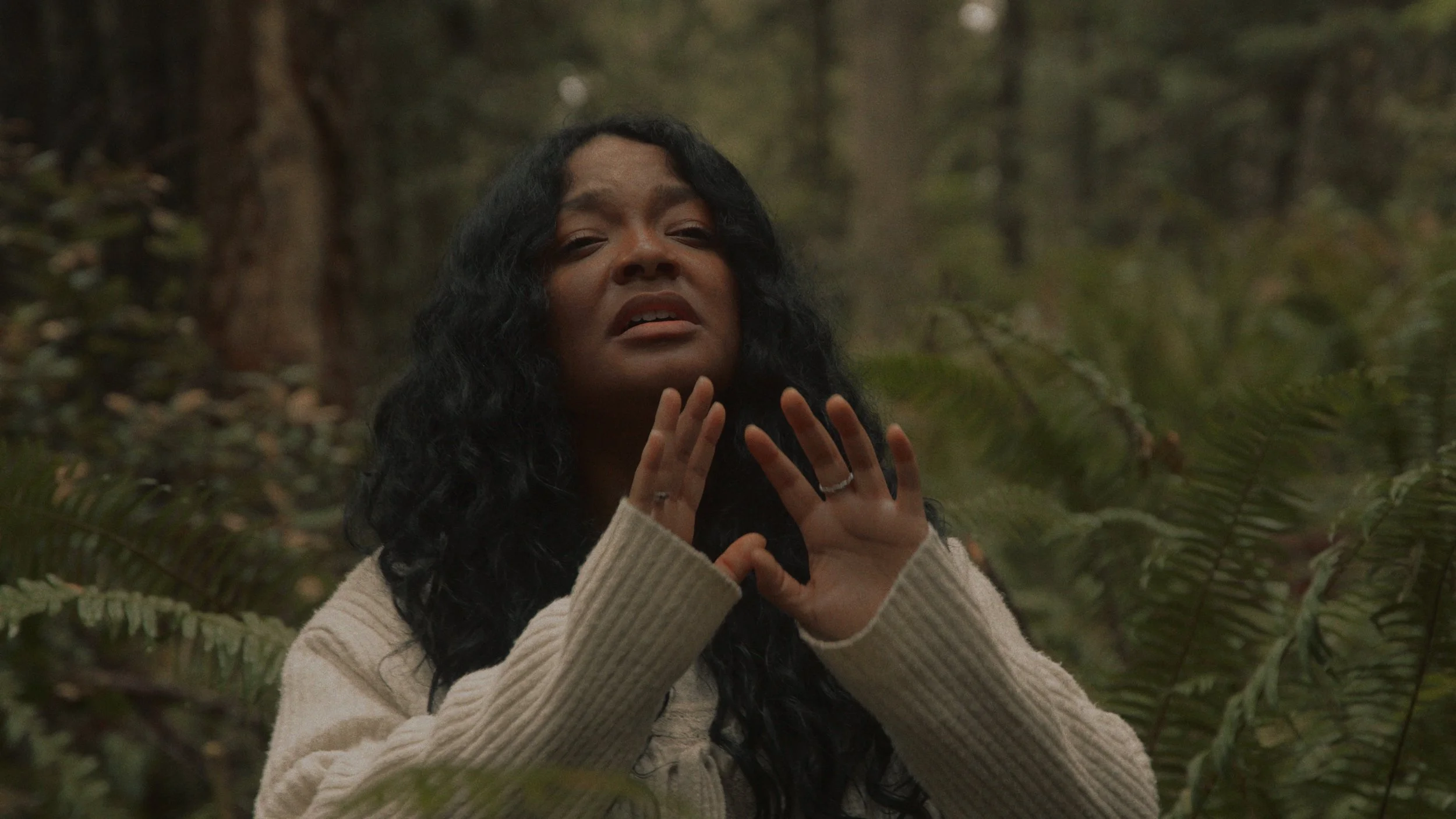 Still 2025-03-10 121523_1.8.1.jpg