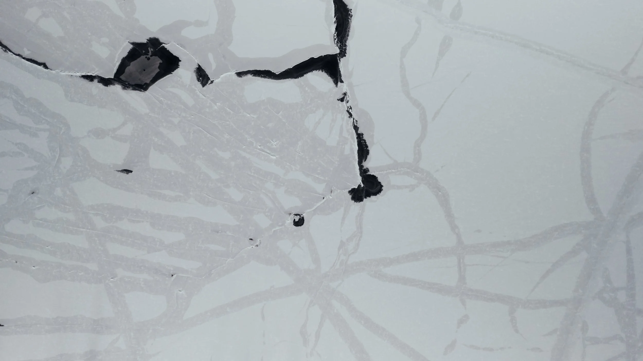 Still 2025-03-10 161806_1.3.1.jpg