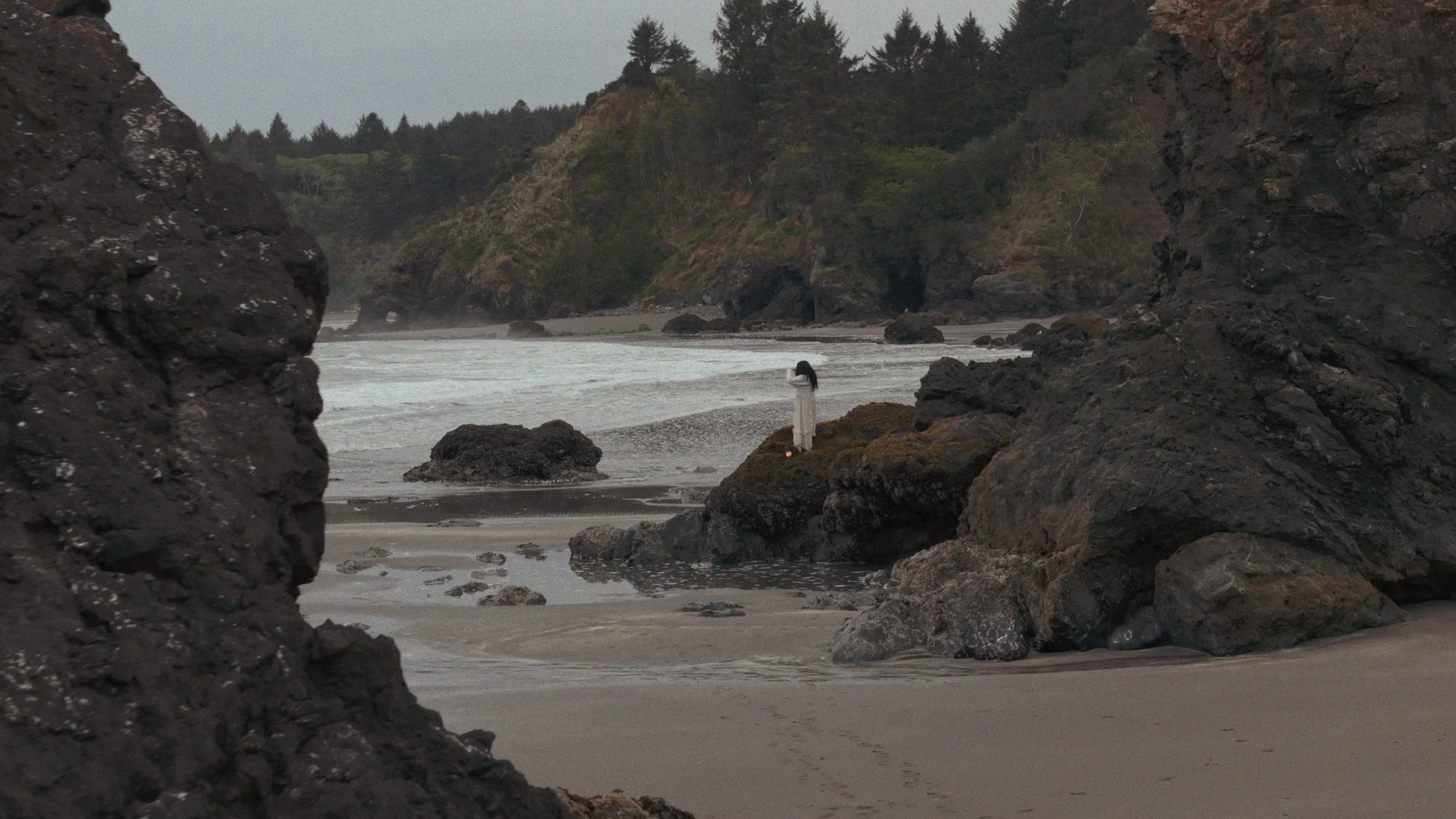 Still 2025-03-10 121523_12.3.1.jpg