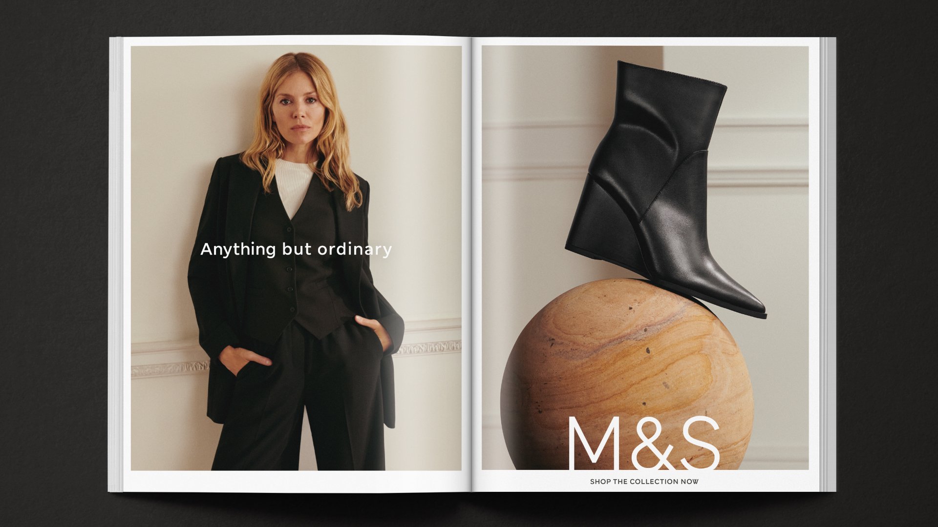 M&S-Insitu-DPS-1.jpg