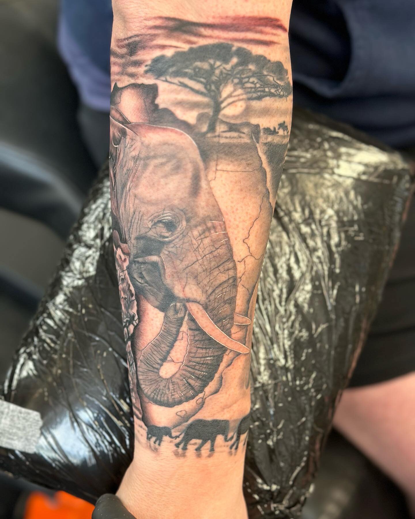 Really lovely for Heidi to add to the lions She did for Adam a few years ago. Good to see them settled in so nicely. #lthirteenfamily #lthirteenuk #teignmouth #bishopwandshader #dynamicgreywash #dynamictripleblack