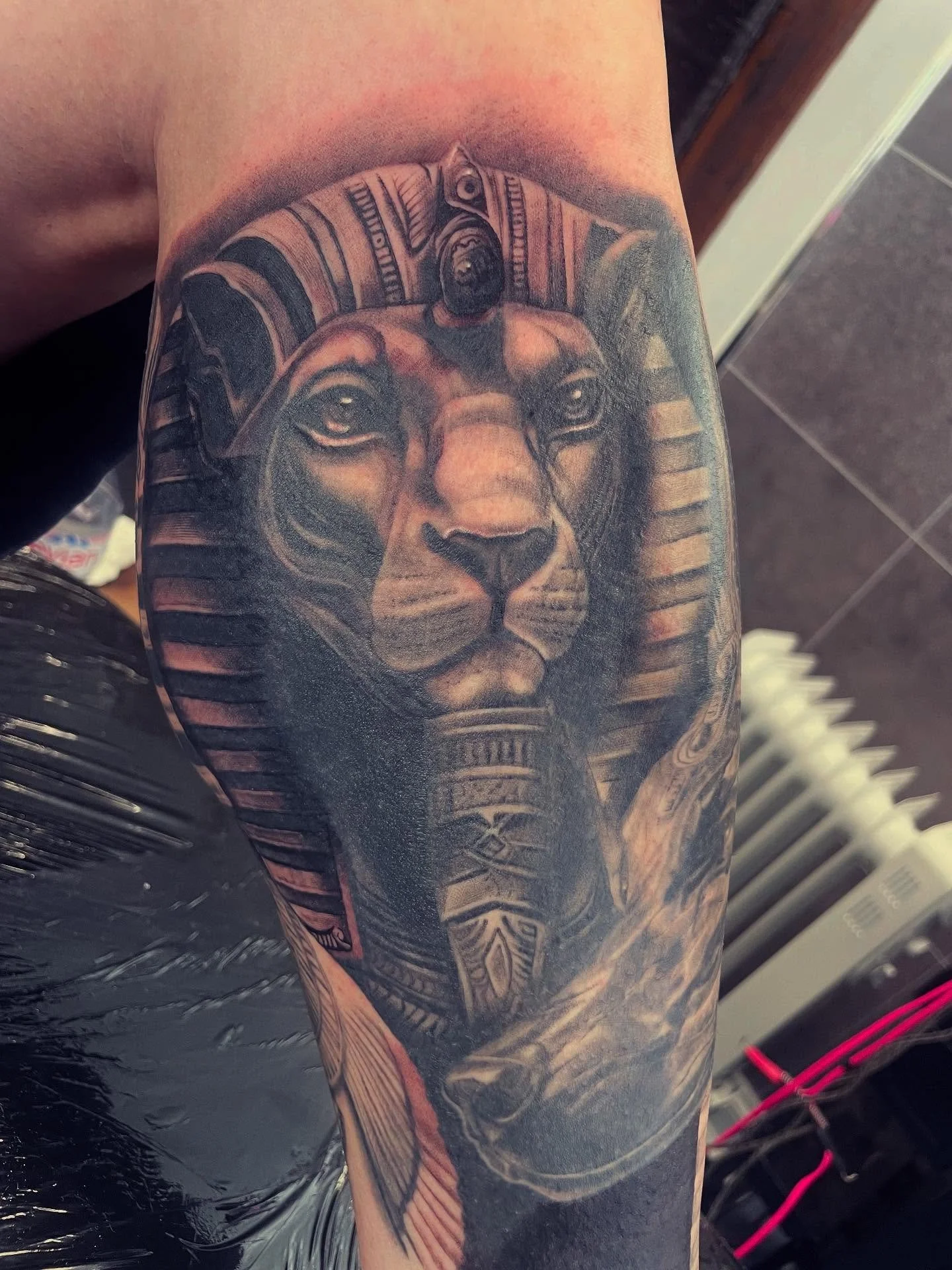 I&rsquo;m so rubbish at posting, I do this for a living.. honest!!! But more do on @karlupsher49 &lsquo;s leg today #lthirteenfamily #lthirteenuk #teignmouth #blackandgreytattoo #egypttattoo
