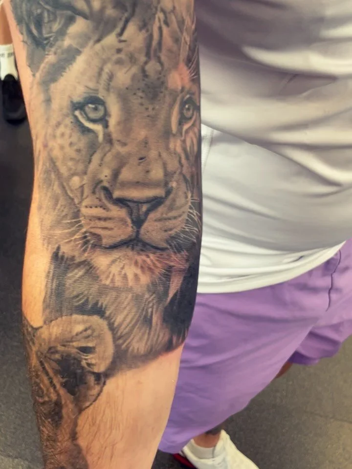 Couple of mostly healed lions on ongoing pieces. I will try to do better with posting work&hellip;.I really will 🫦#lthirteenfamily #lthirteenuk #teignmouth #blackandgrayliontattoo