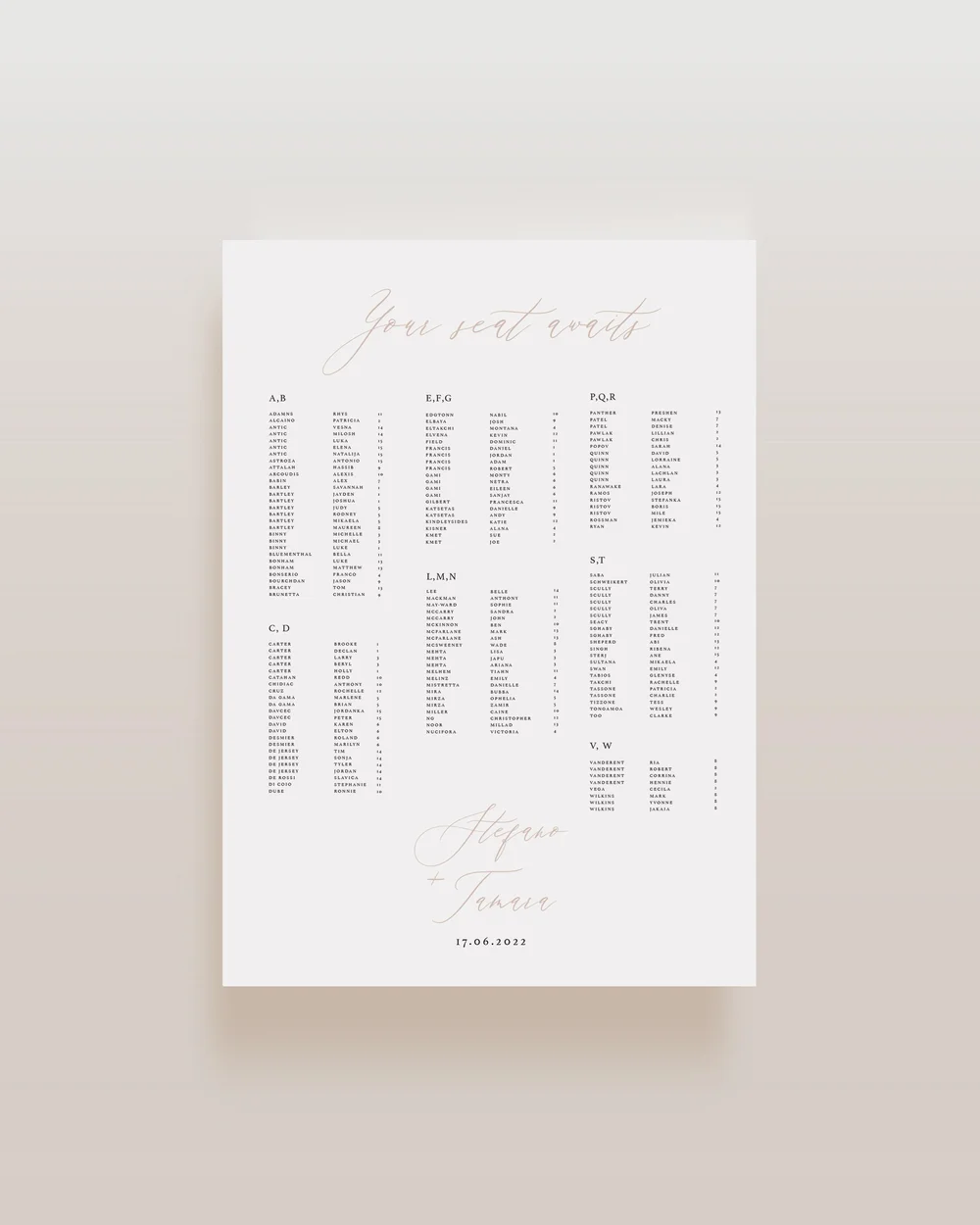 Alina Seating Chart — Illustrated by Mel