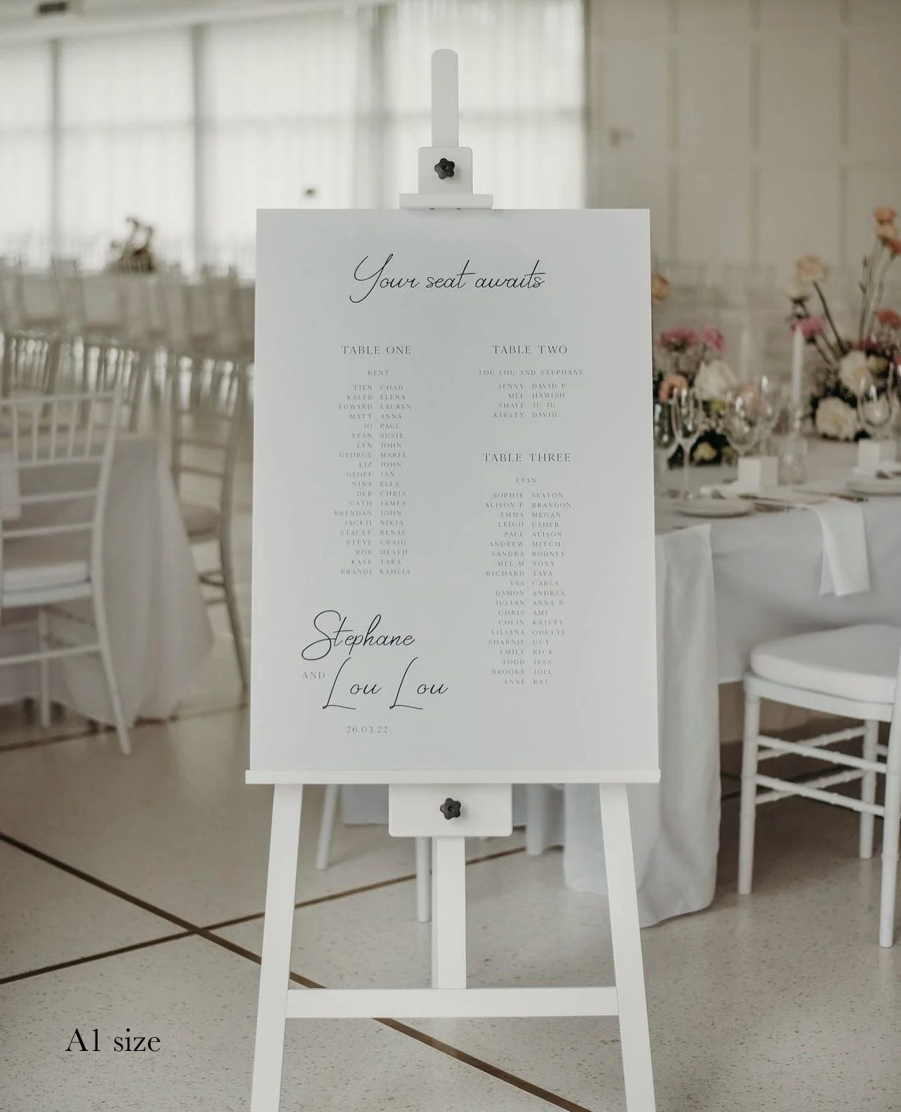 Alina Seating Chart — Illustrated by Mel