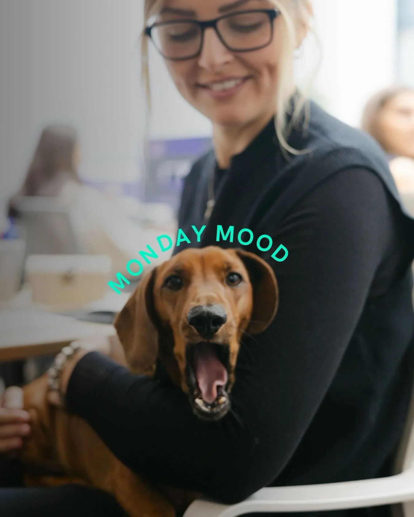 When you&rsquo;ve had a busy weekend&hellip; but don&rsquo;t worry, he&rsquo;s the only one yawning in the studio 🐾

We have a busy week ahead, with email templates, social content creation, event collateral, brochures and an invitation &ndash; let&