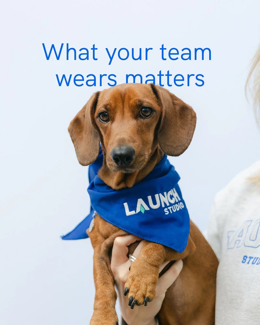 😏 ... including your chief happiness officer

Alright, maybe not everyone is branding the office dog, but what your team wears makes an impression. Whether it&rsquo;s at events, on site with clients, or just around the office, clothing is one of the