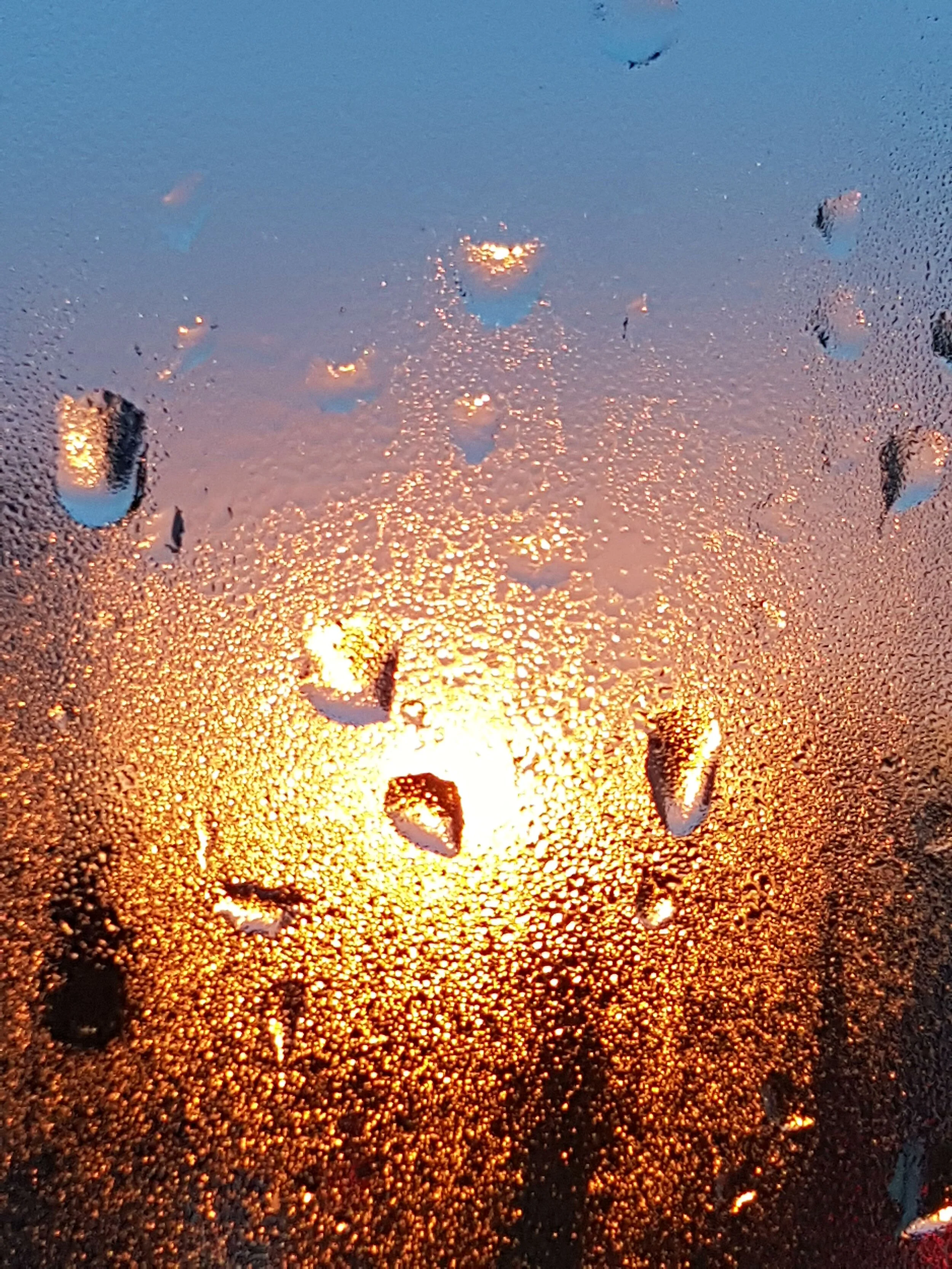 20210122_172758.jpg