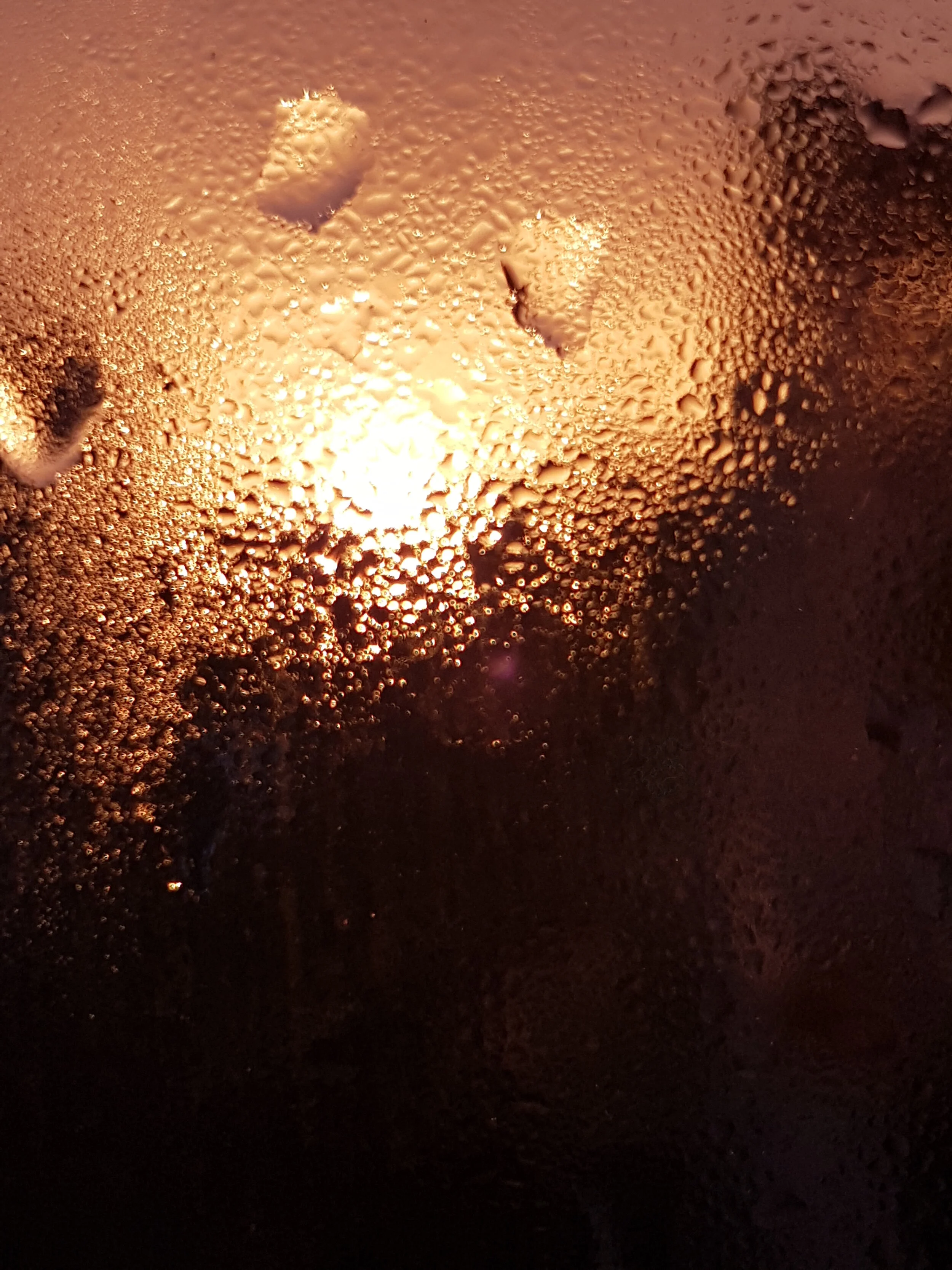 20210122_173212.jpg