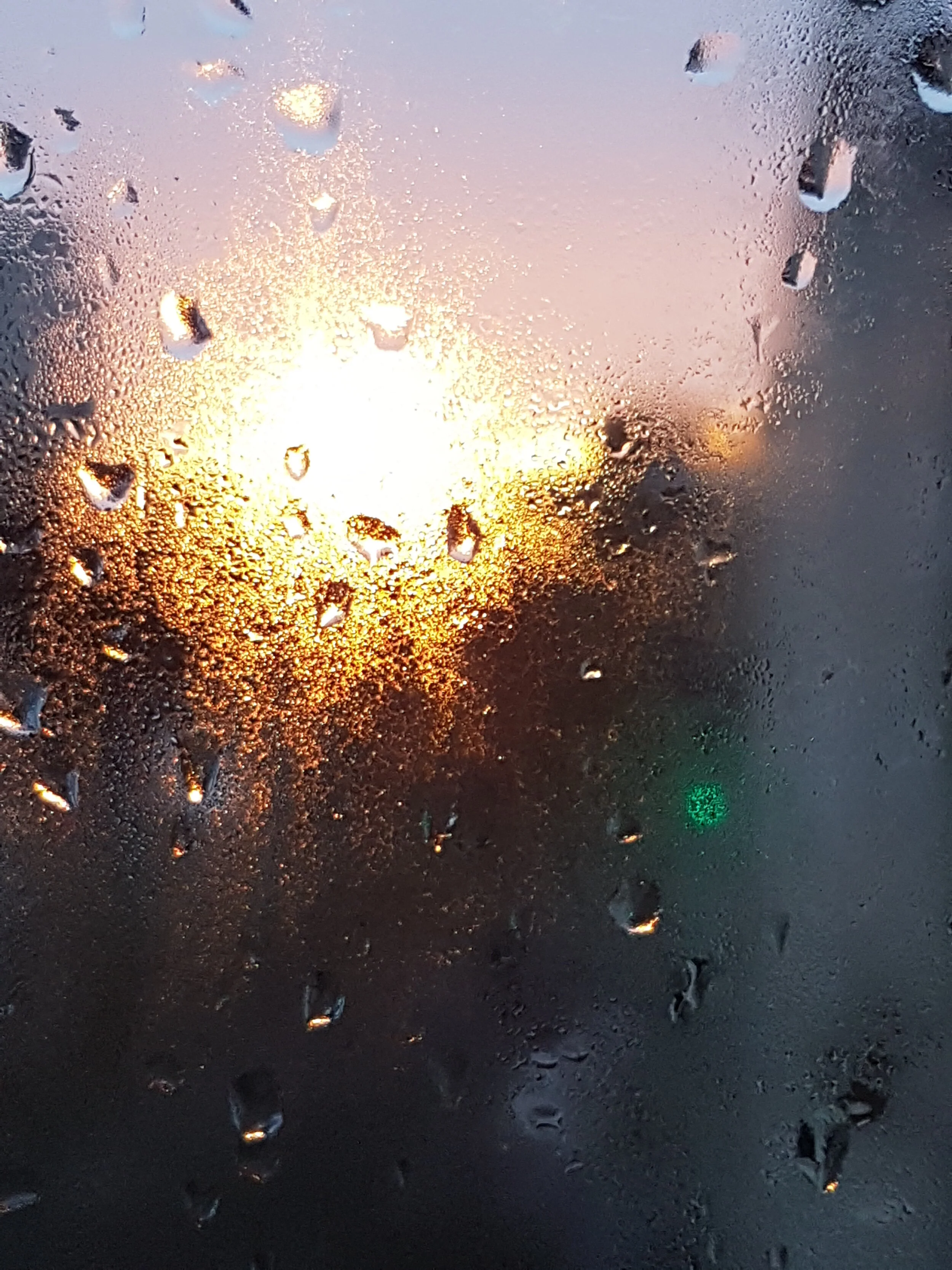 20210122_172737.jpg