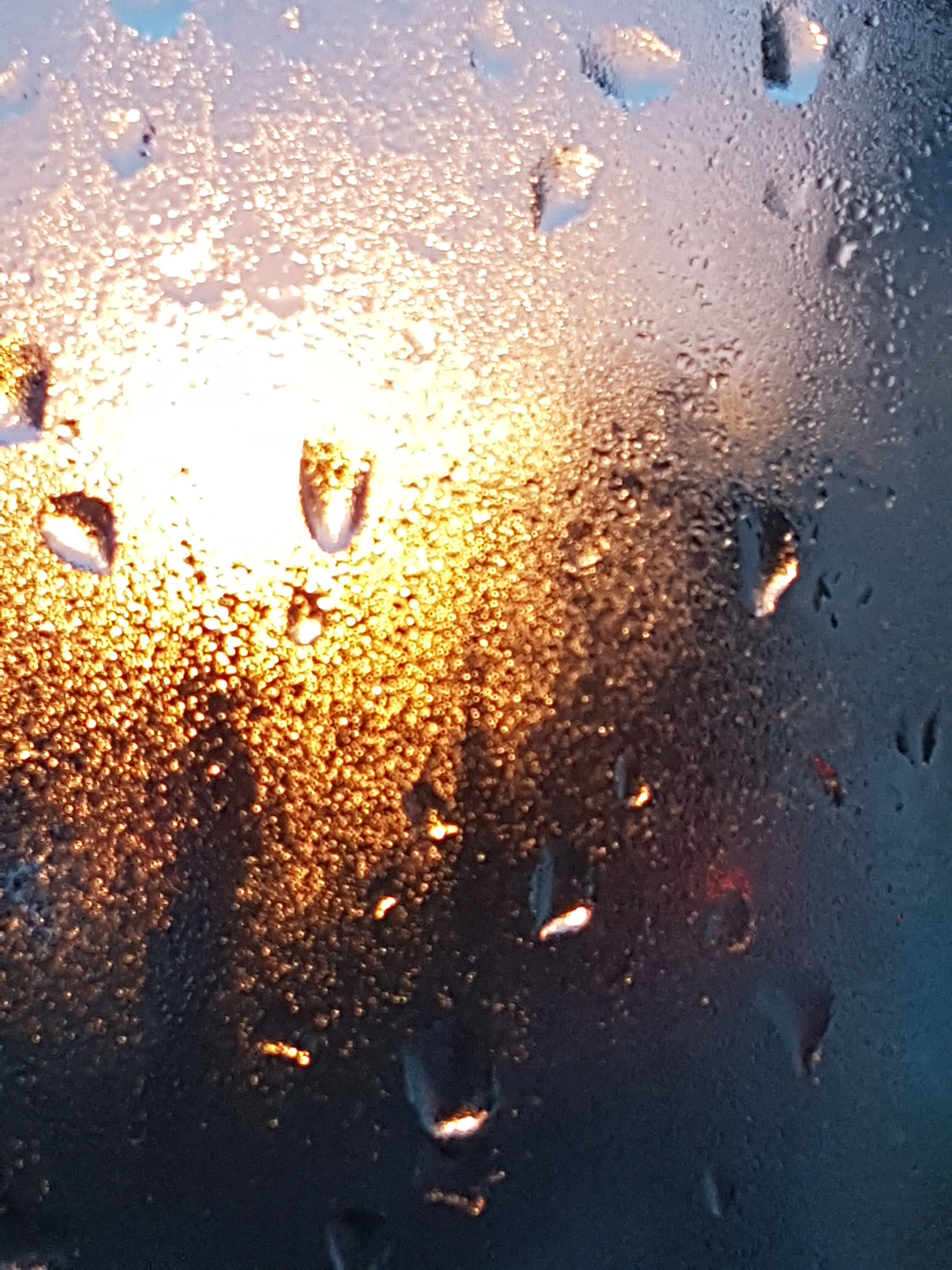 20210122_172754.jpg