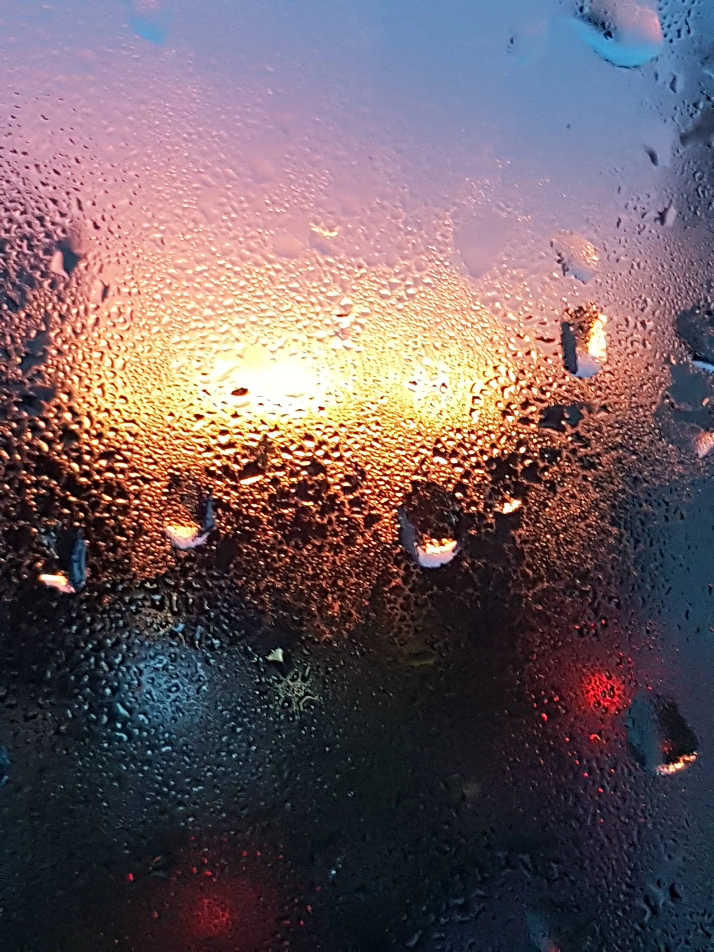 20210122_173952.jpg