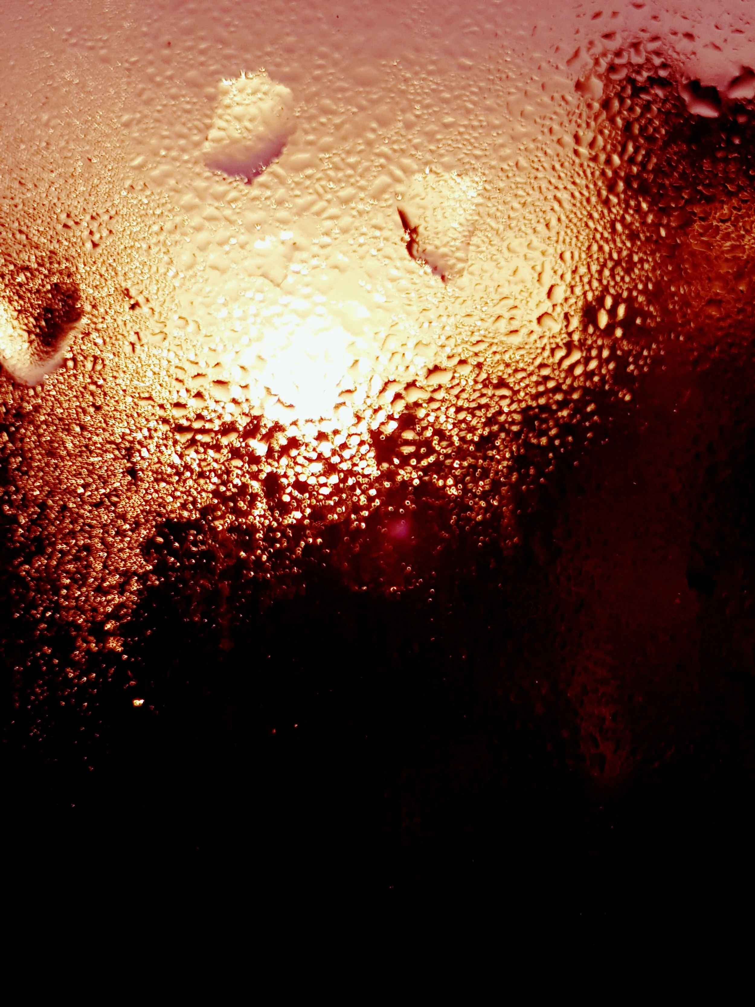 20210122_204945.jpg