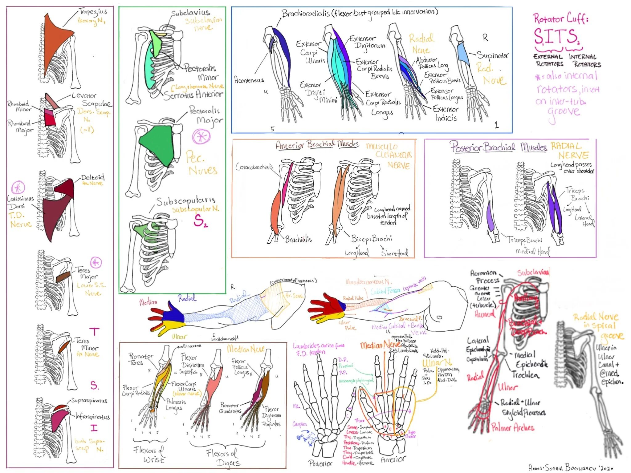 Anna-Sophia shared a sketch with you 2.png