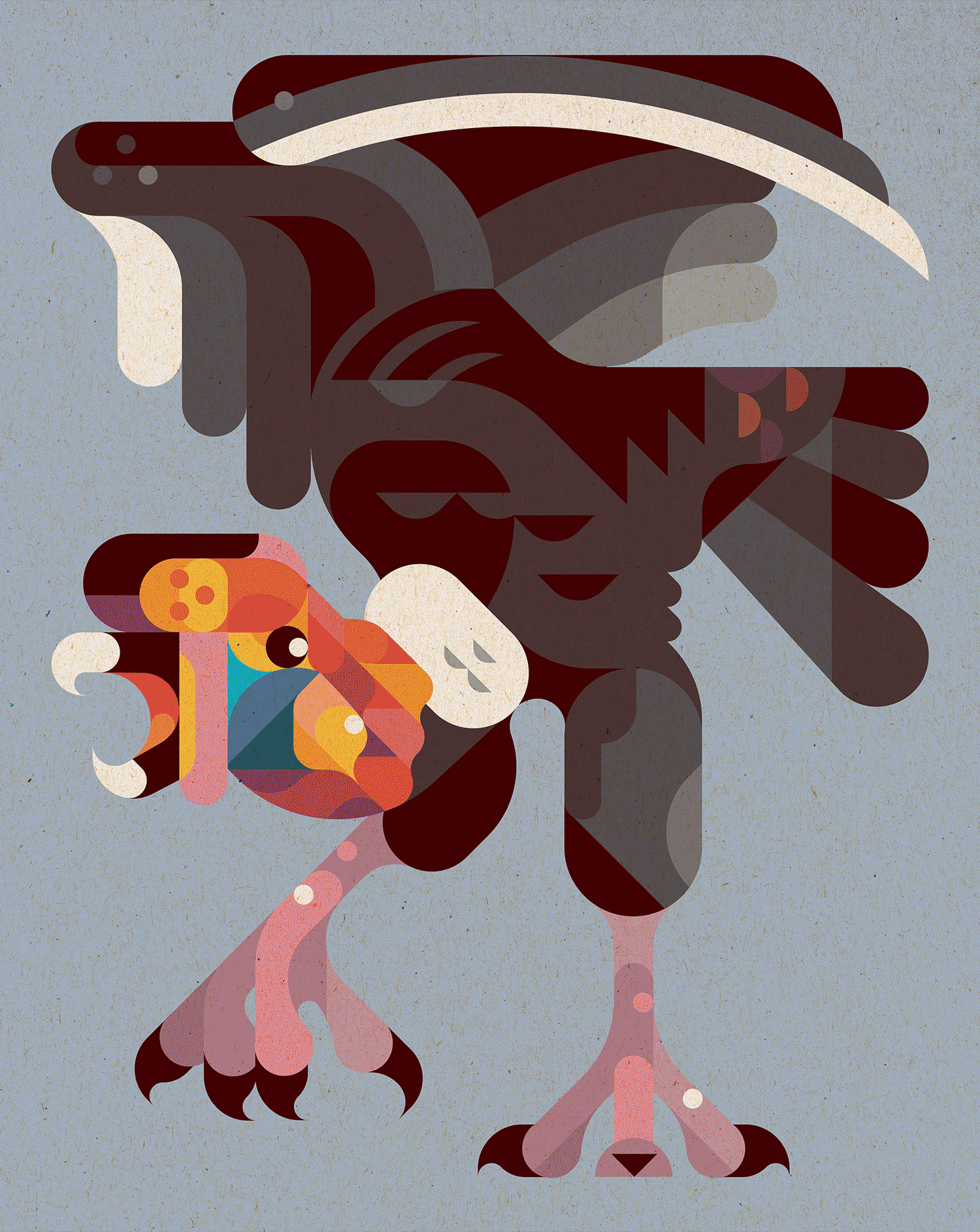 condor.gif