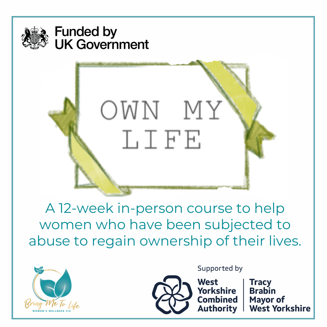 Own My Life — Bring Me To Life
