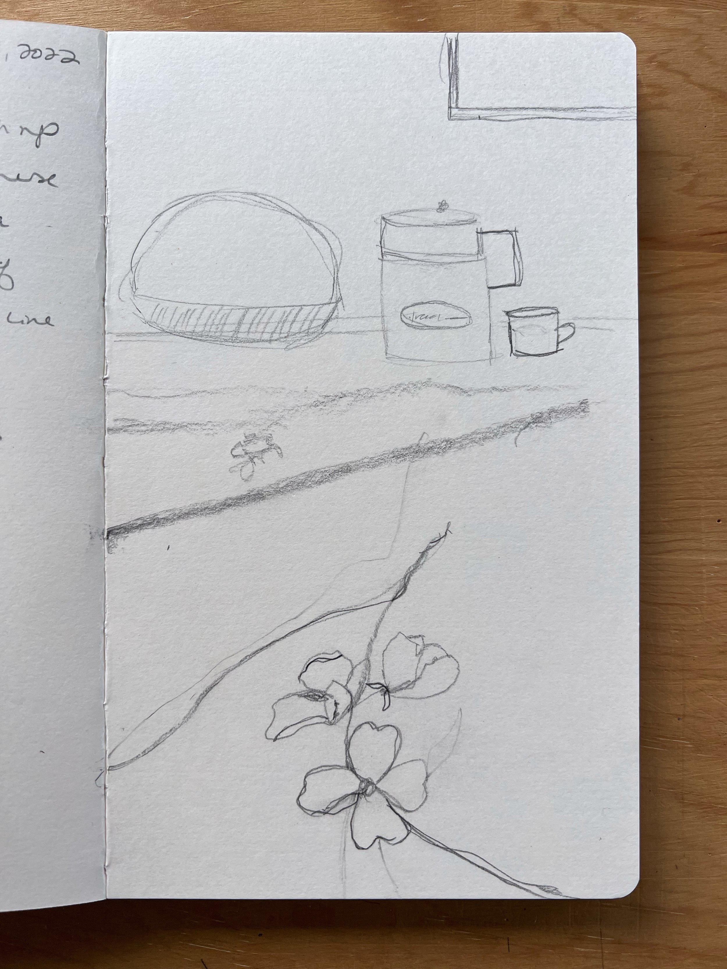 June 1st - Still Life set up