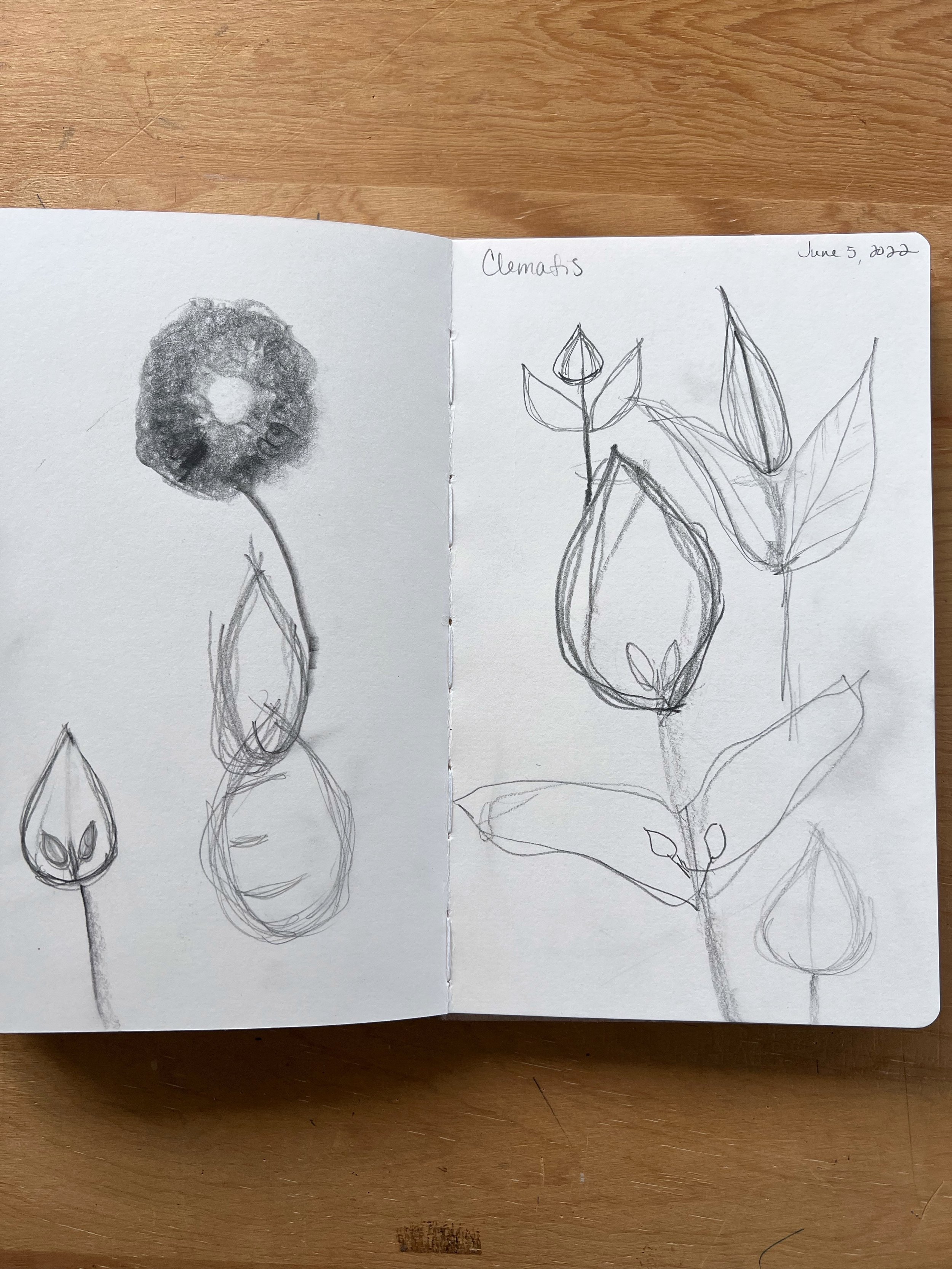 June 5, 2022 - Clematis from the garden