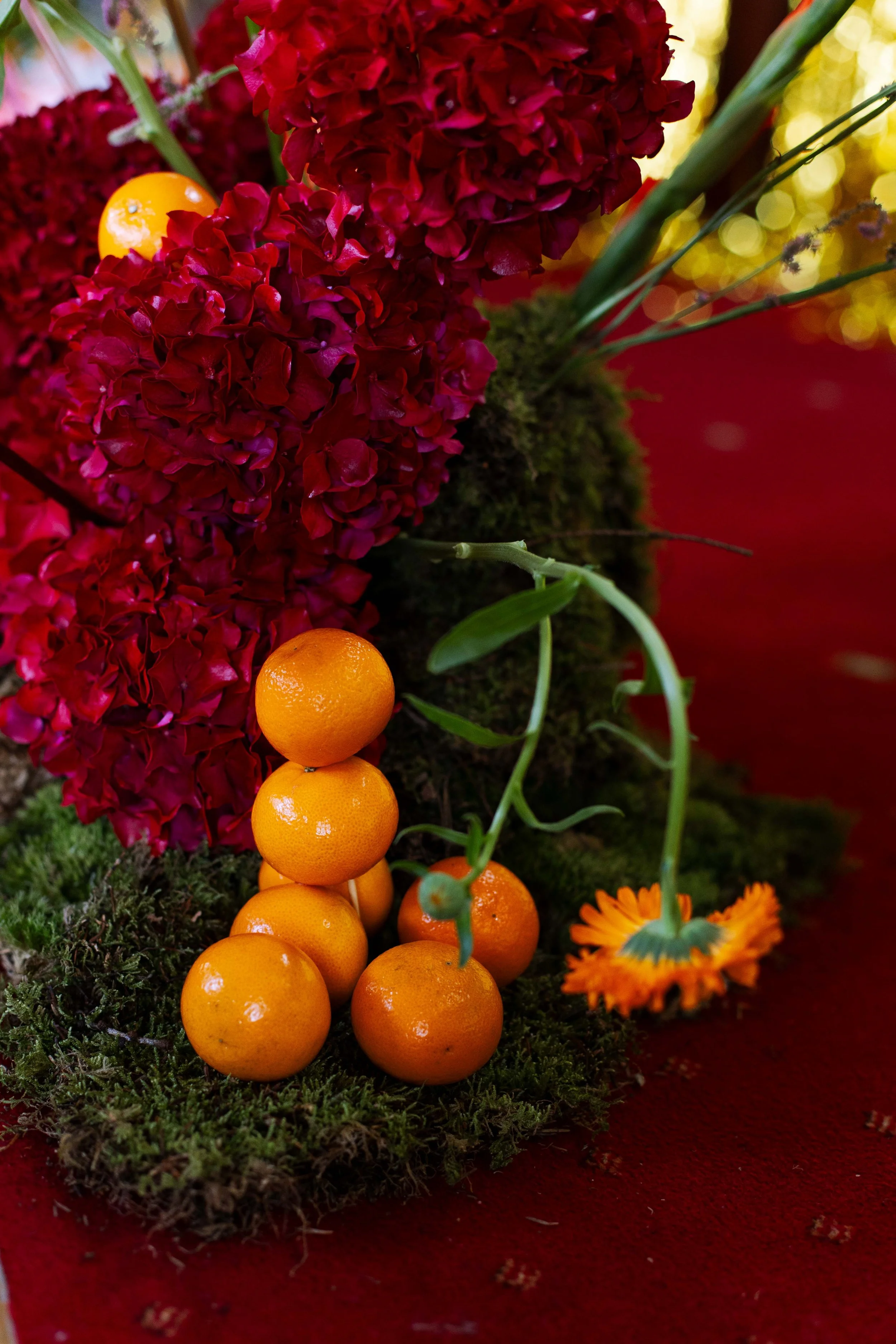 A weird and wonderful wedding at Queens Park Bowling Club, Glasgow with alternative florist, Rook Botanics.