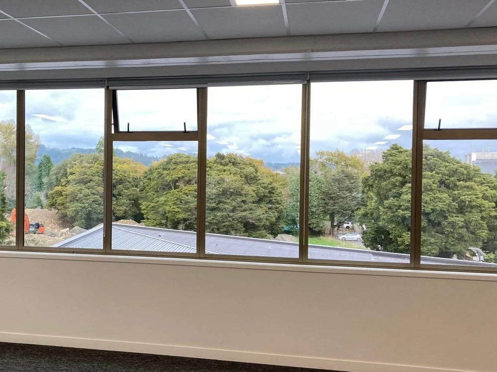 A view of the green canopy from within the refurbished Buddle Building