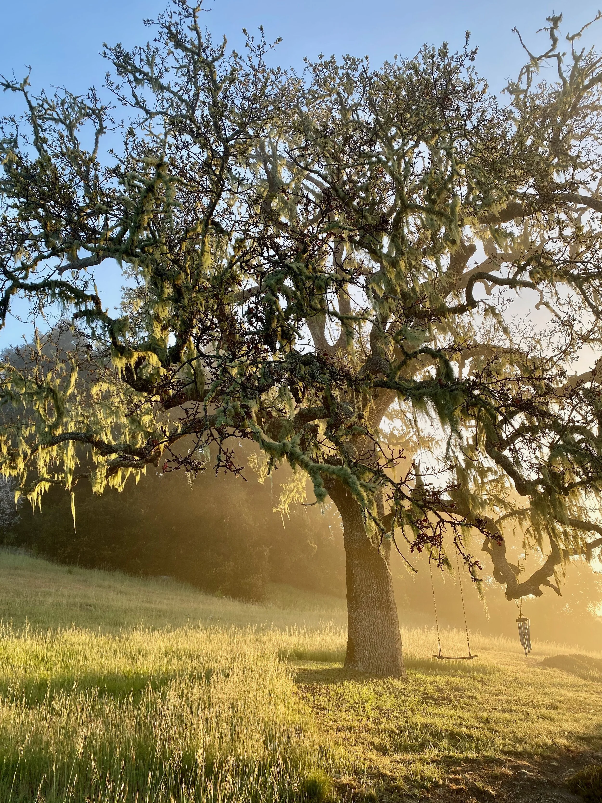 Weekend Retreat Jackson, WY 8-21