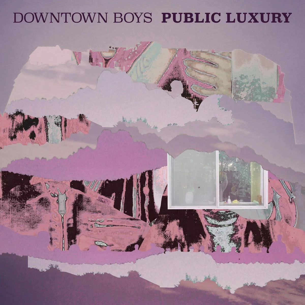 Downtown Boys Public Luxury album cover