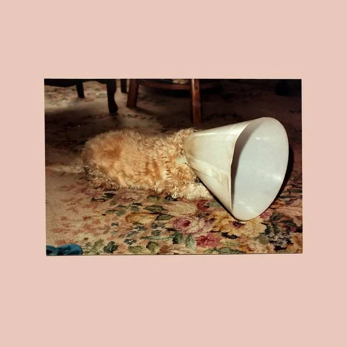 Langkamer No album cover